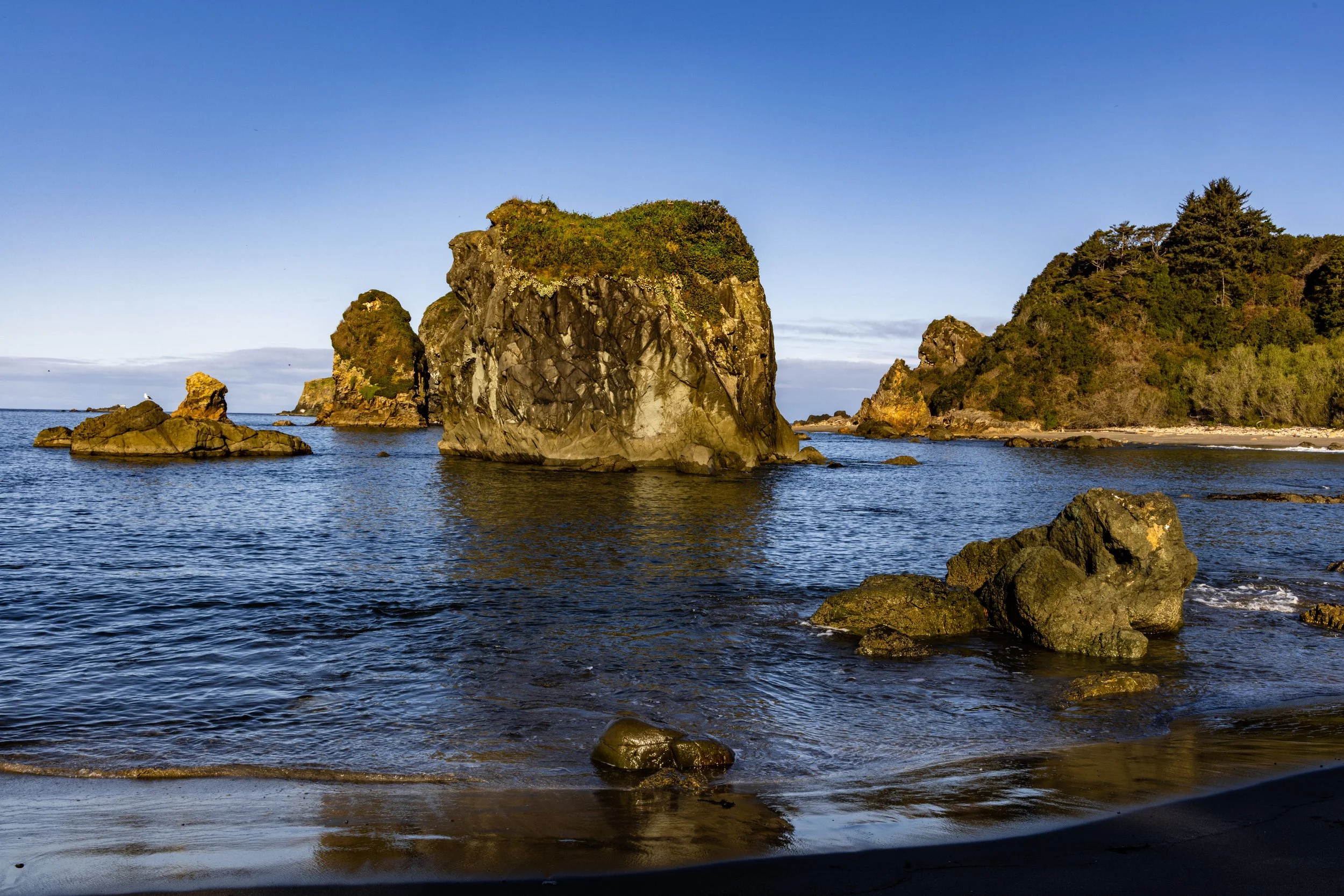 HarrisBeach4821-5.jpg