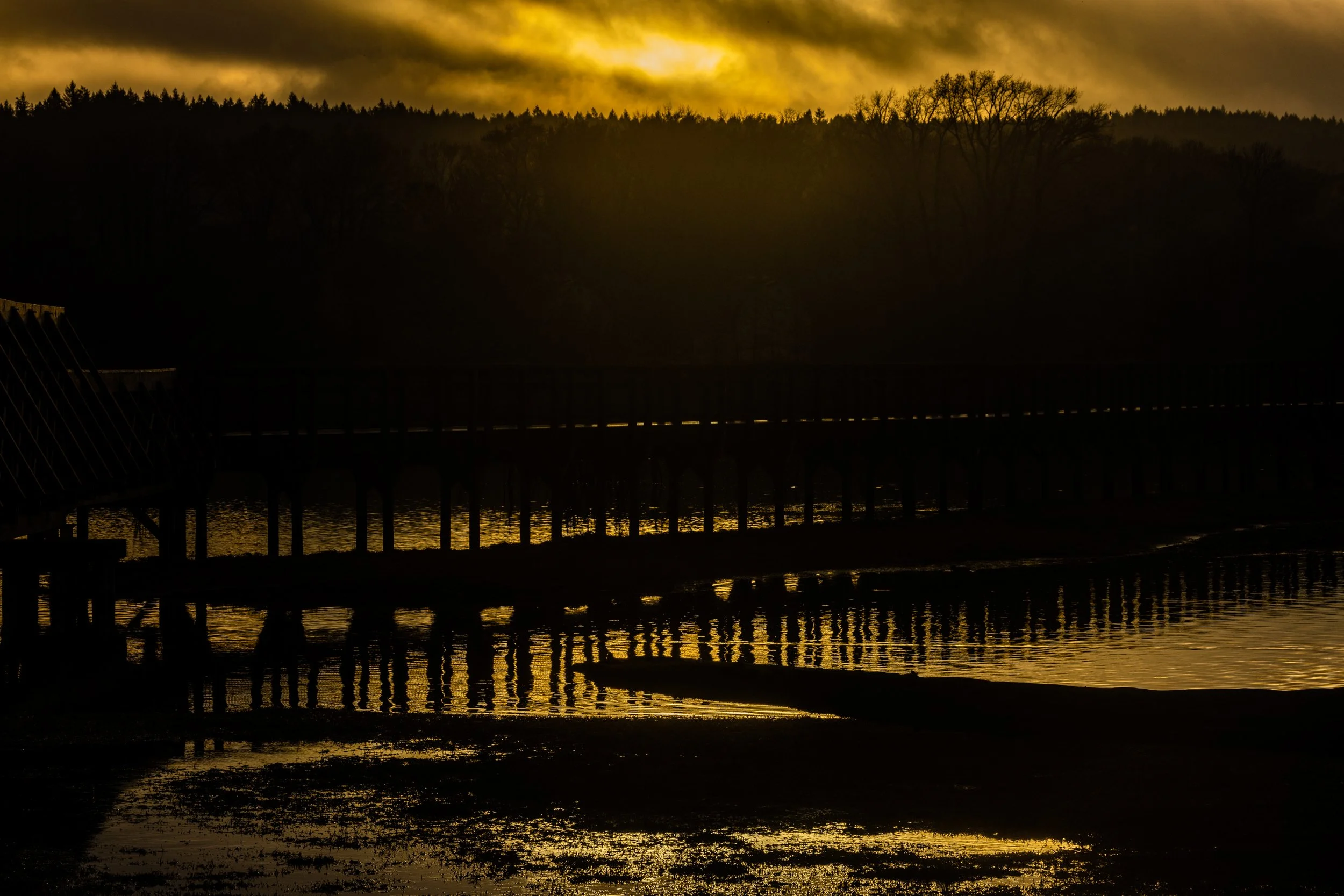 BillyFrank112021-6.jpg