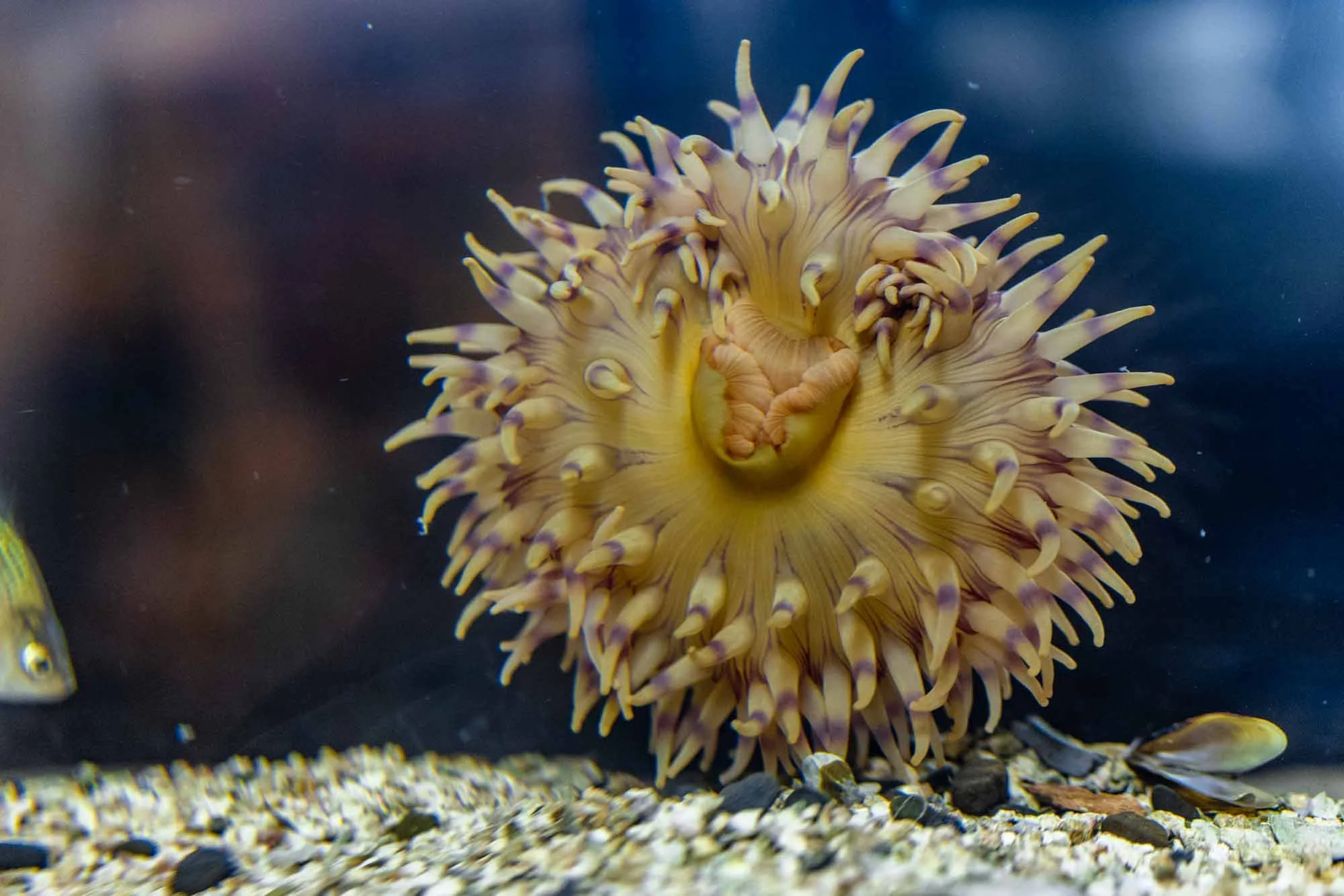 Breazeale Interpretive Center