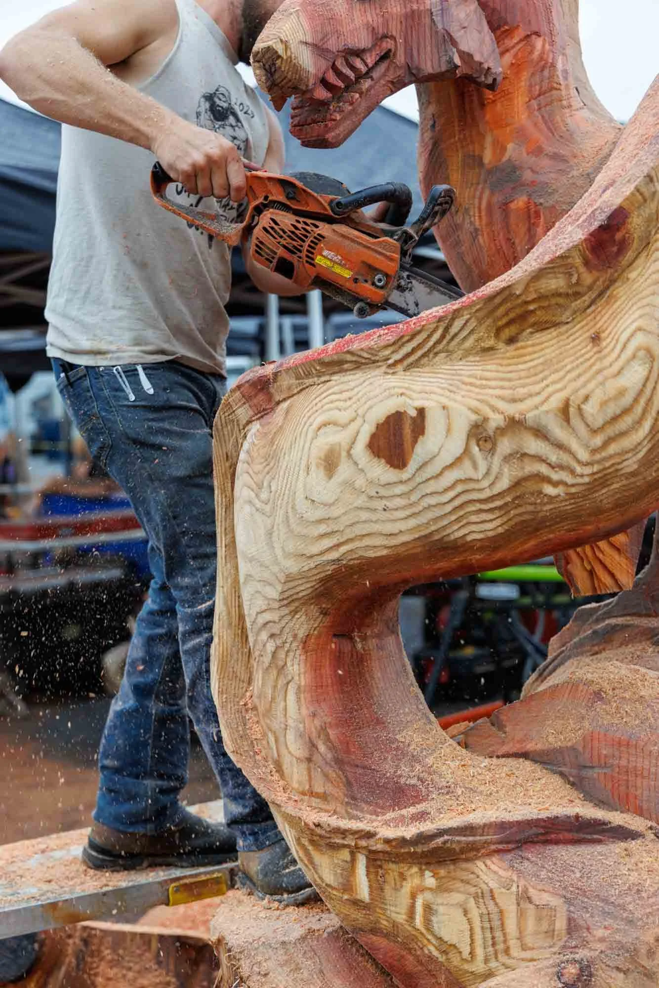 2026 07 Sedro Wooley Logger Rodeo0016.jpg