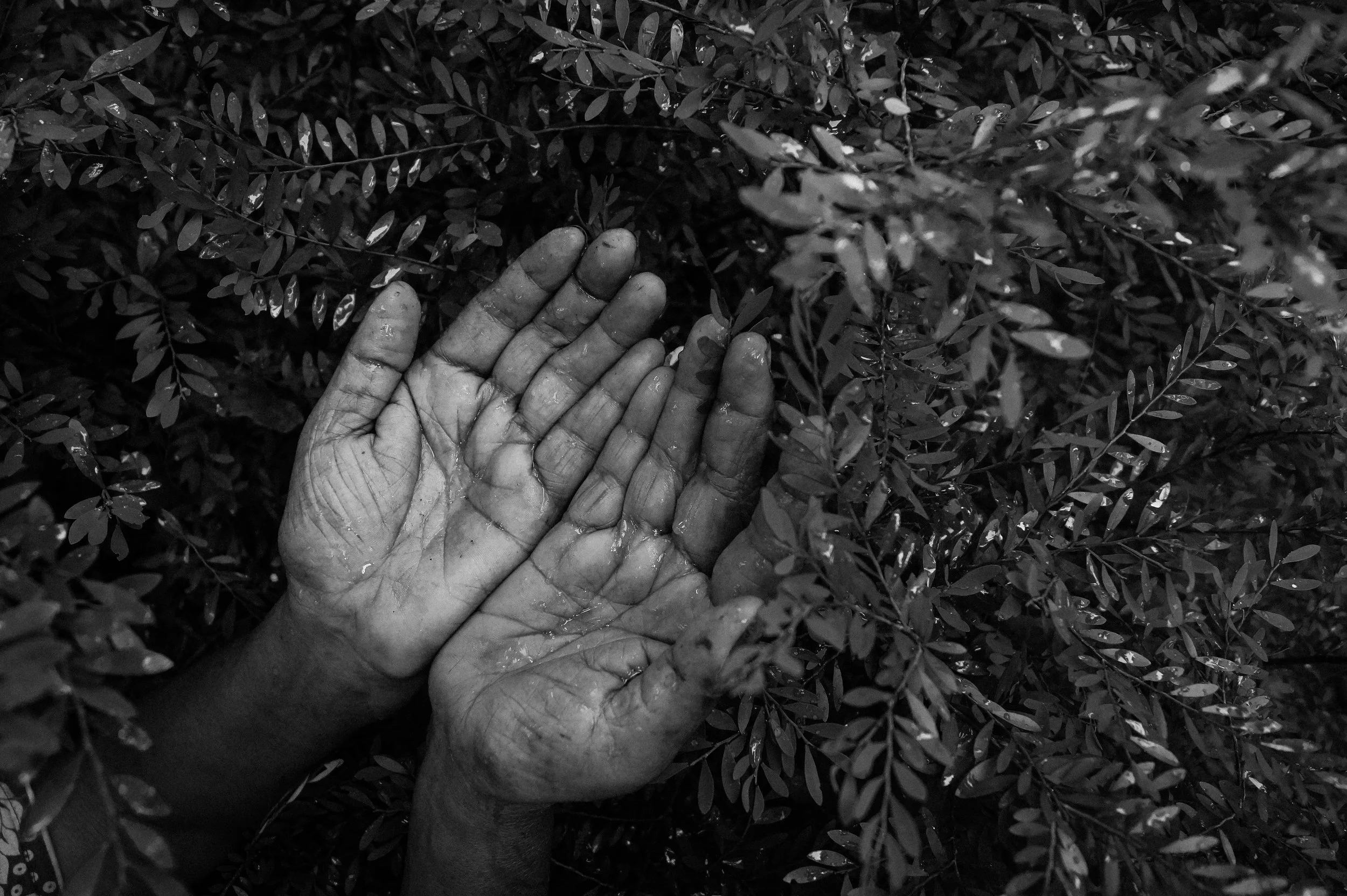 Afro-Caribbean Enfleshed Spirituality: Resistance, Memory, and Liberation