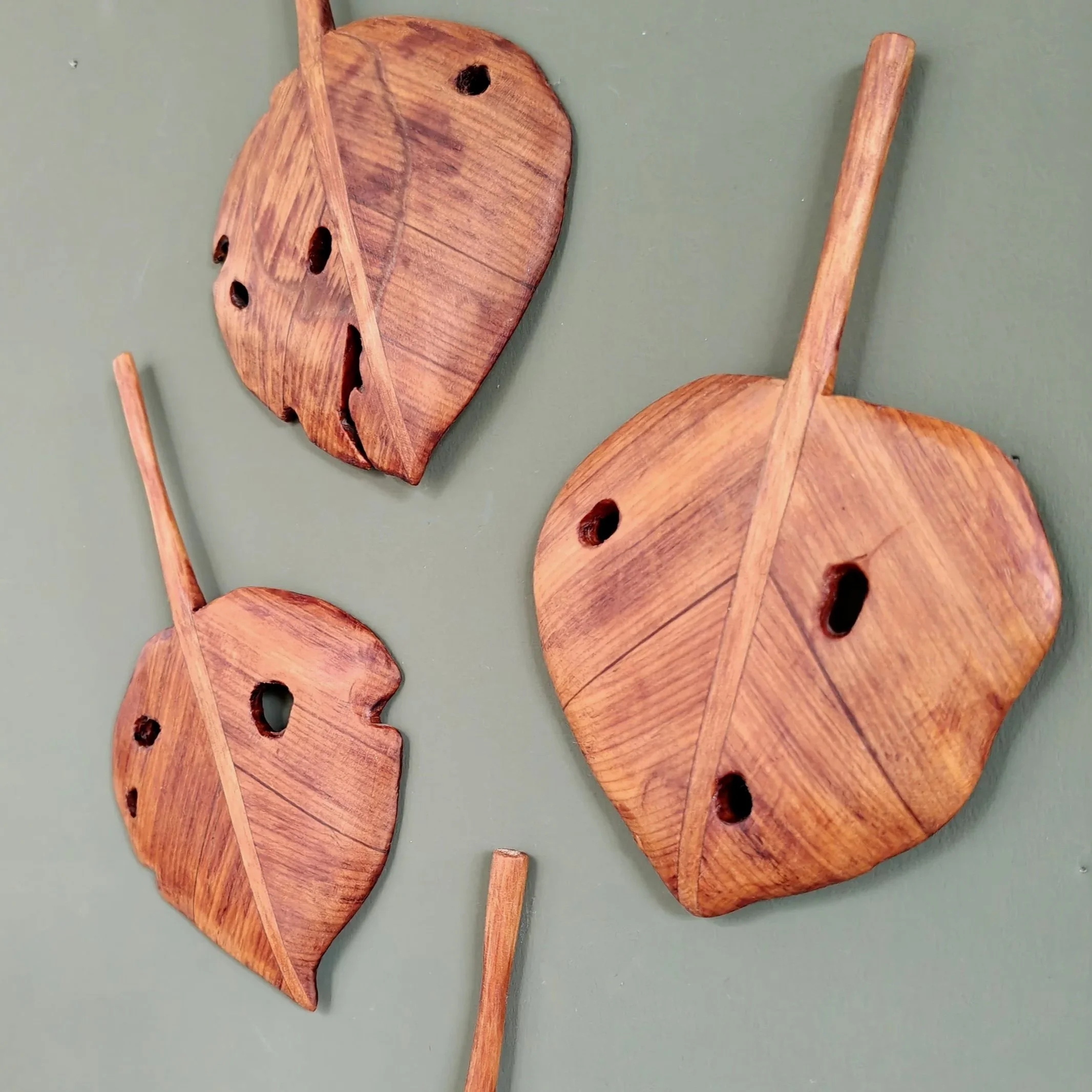 Kawakawa+%284%29.jpg