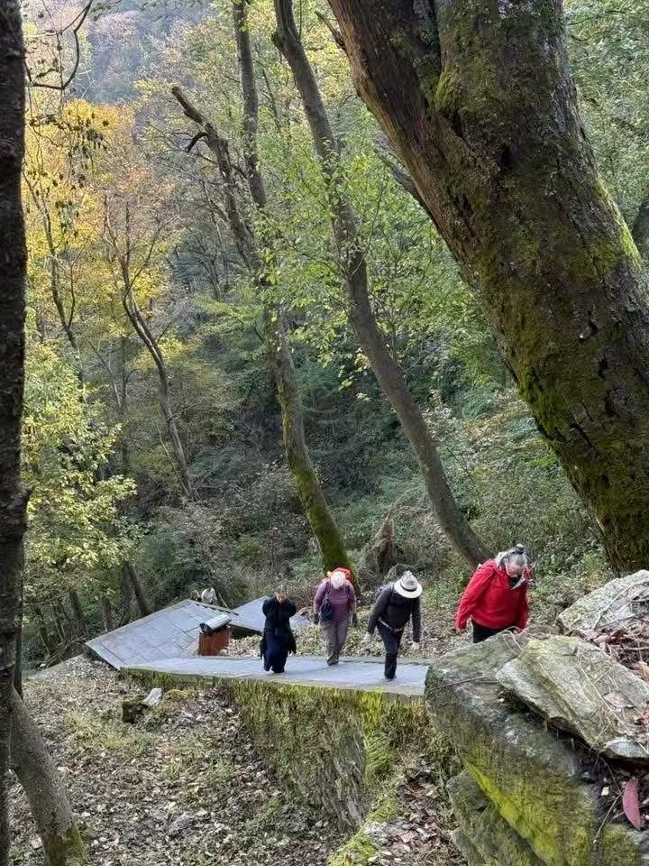 stragglers on the walk.JPEG