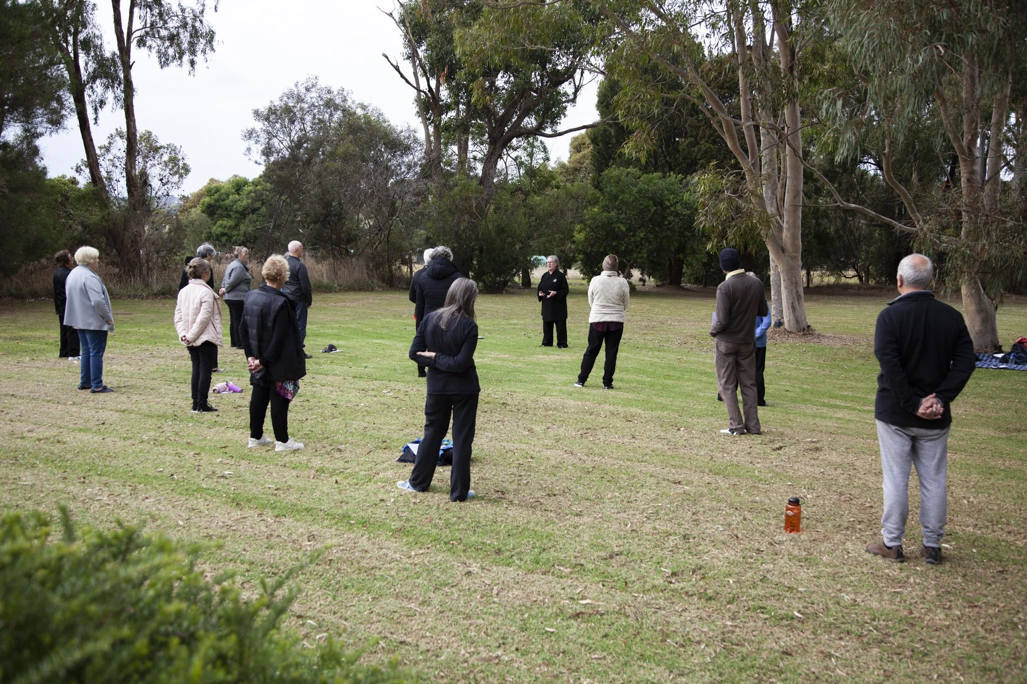 SilverLeaf (2 of 25).JPG