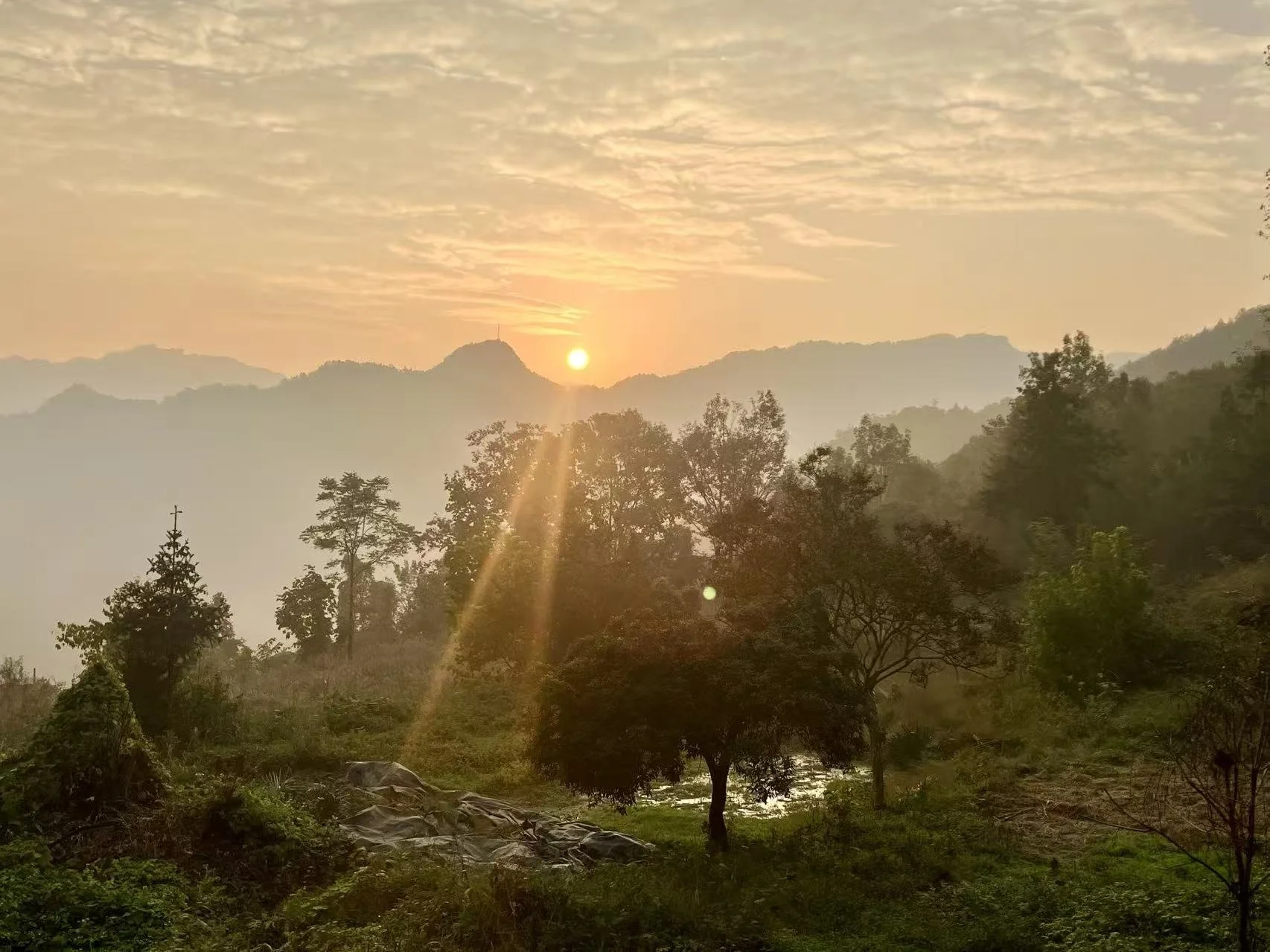 sunrise 2 bings.JPEG