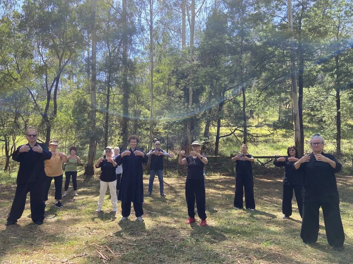 birdsland jan 25.jpg