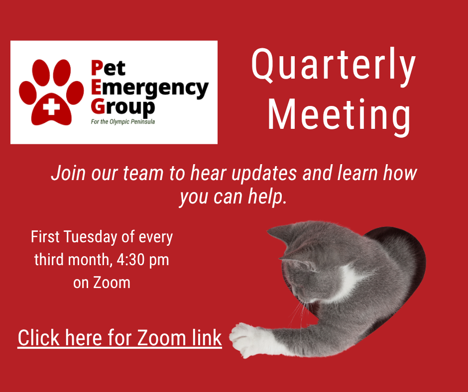 Quarterly Public Meeting 