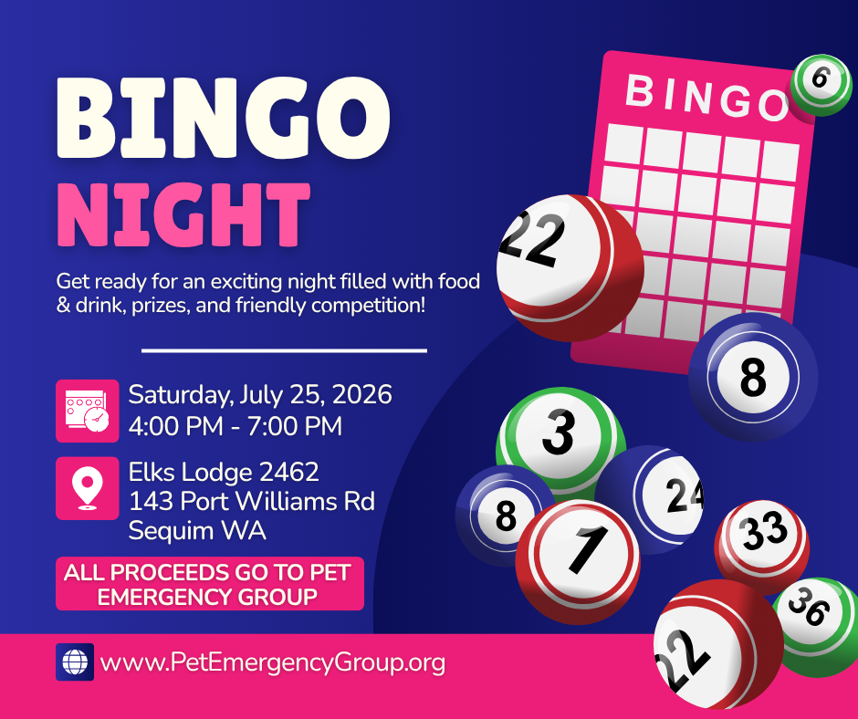 Bingo Night