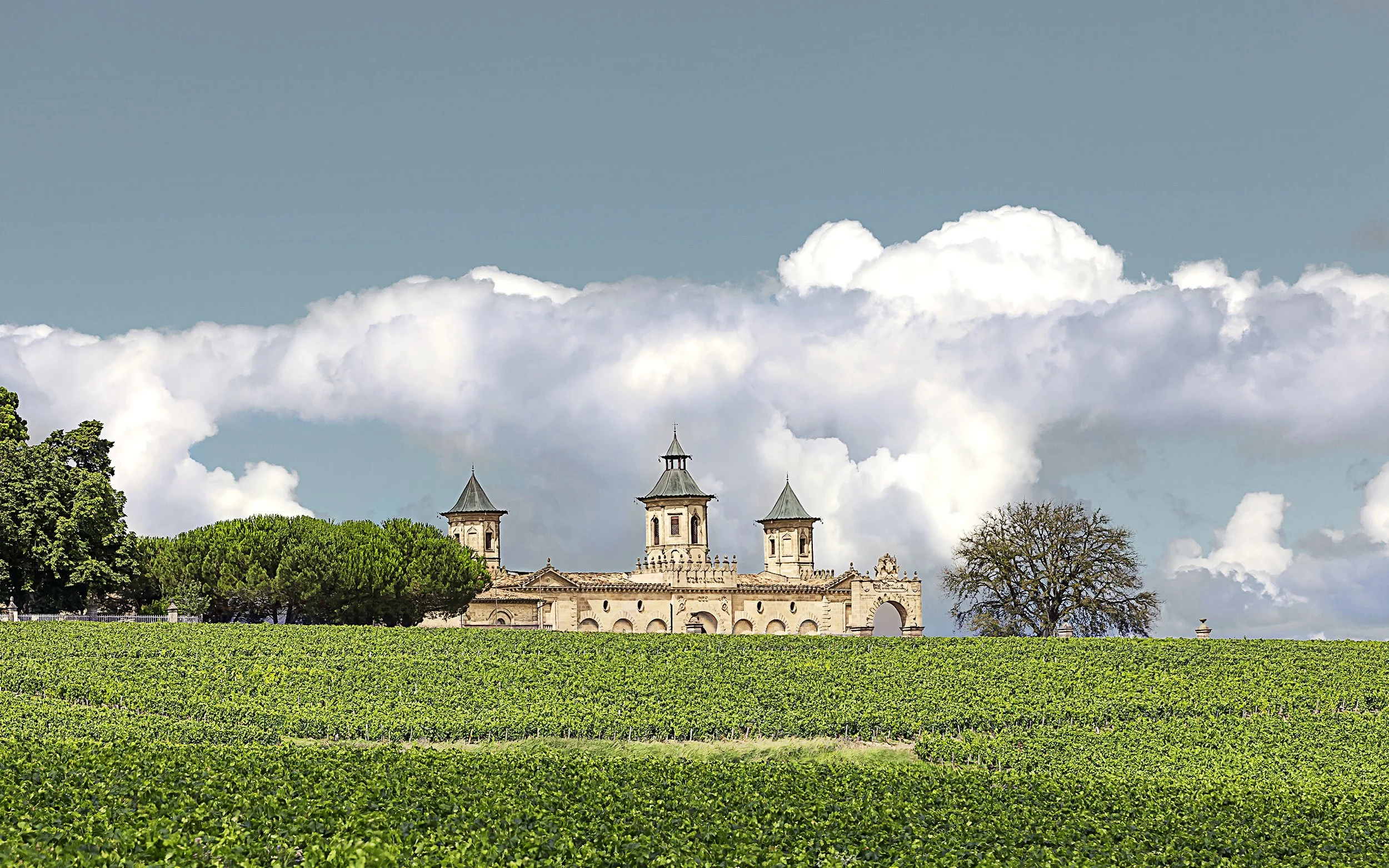 Cos d_Estournel - Château (2).jpg