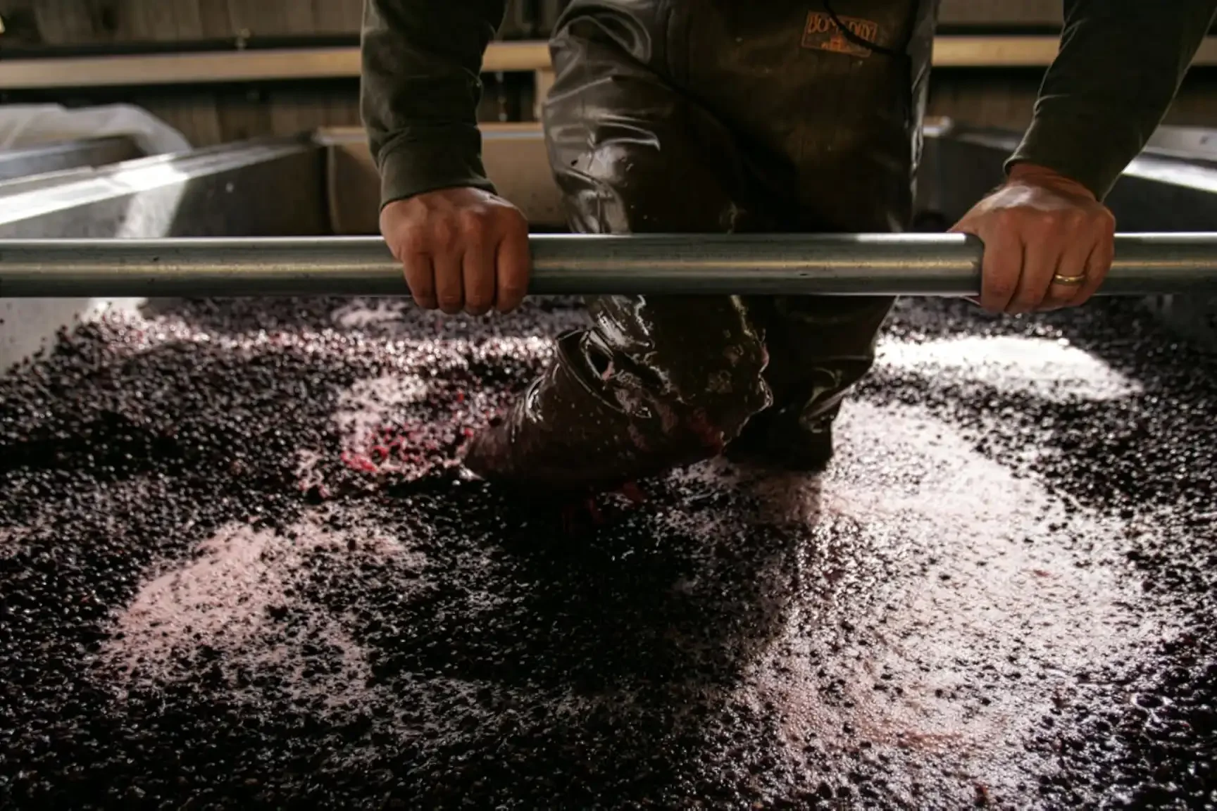 craft_hero_200610-williams-selyem-harvest-wading-9752_2x.webp