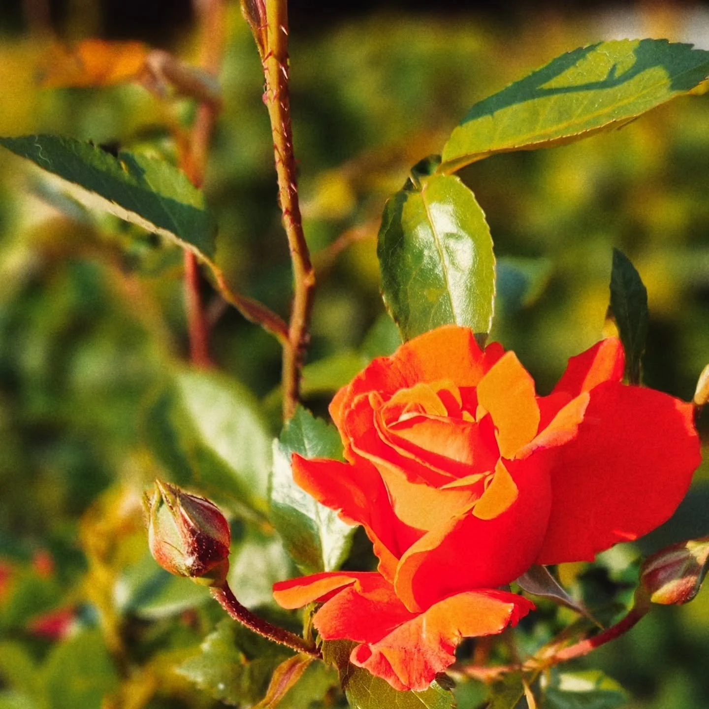 Summer π§‘
.
.
.
.
.
#bcdaylongweekend