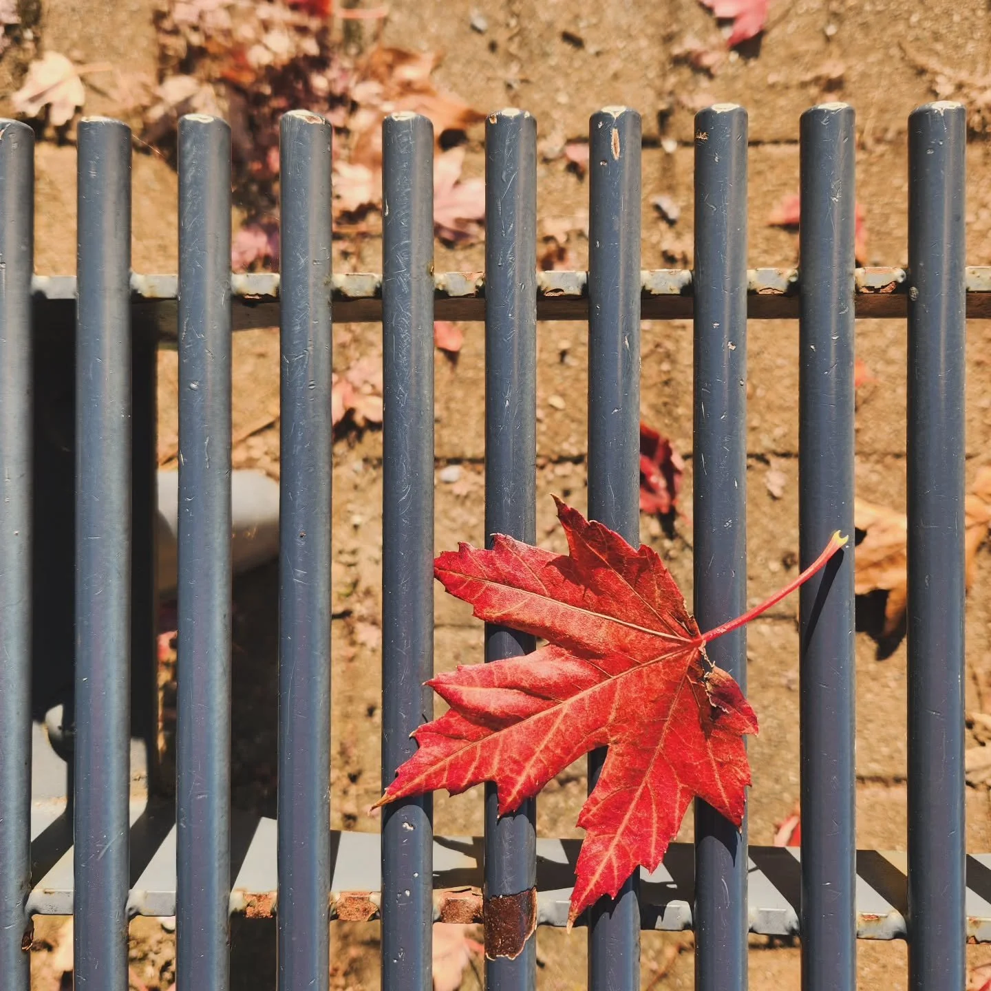 👋☺️ hello, autumn // September was a ride and I completely underestimated how hard it'd be to return to work after maternity leave. Wow. I will gladly take tips from working parents/guardians, so if you have any, please feel free to share 🙏 I'm sti