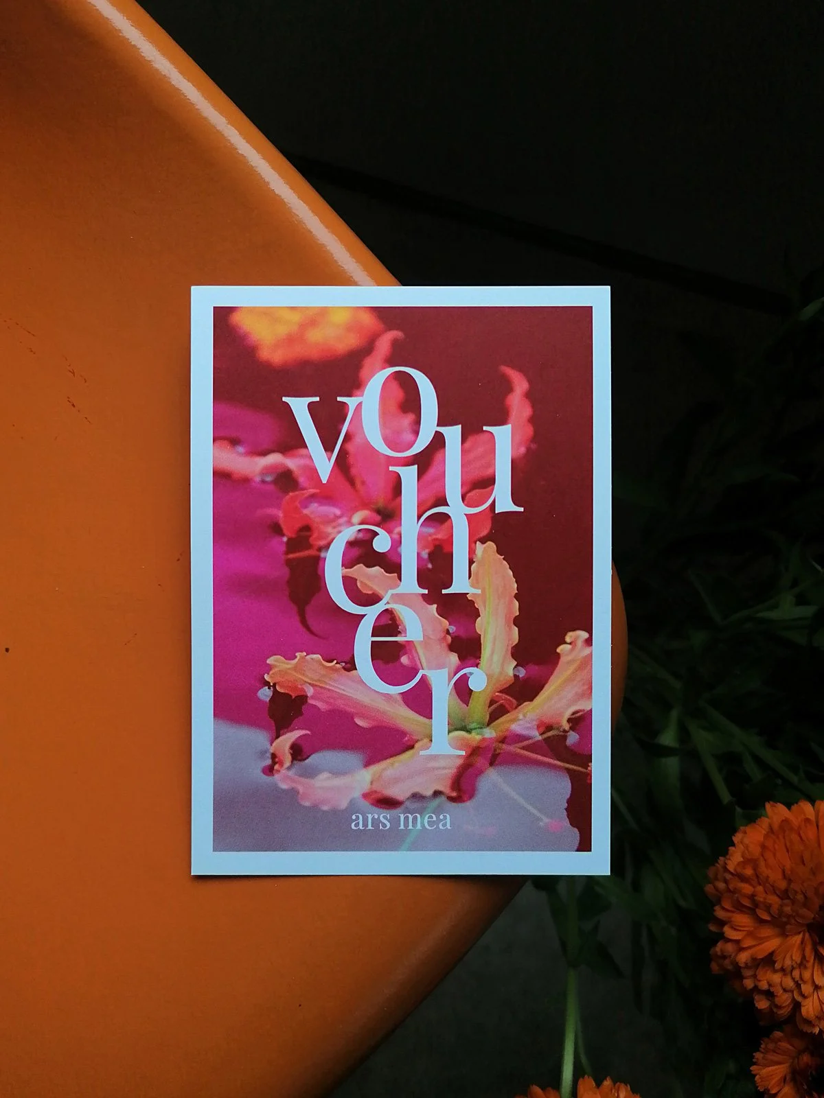 dominique_jolliet_arsmea_voucher.jpg