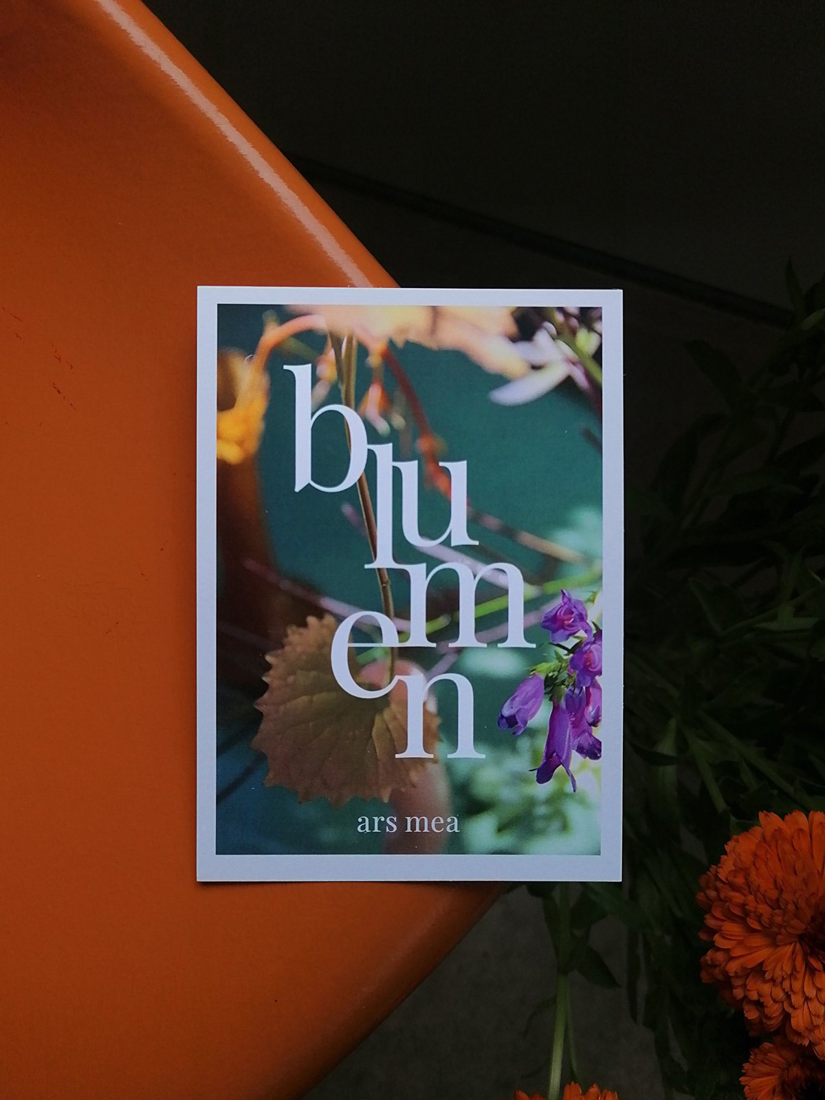 dominique_jolliet_arsmea_voucher_blumen.jpg