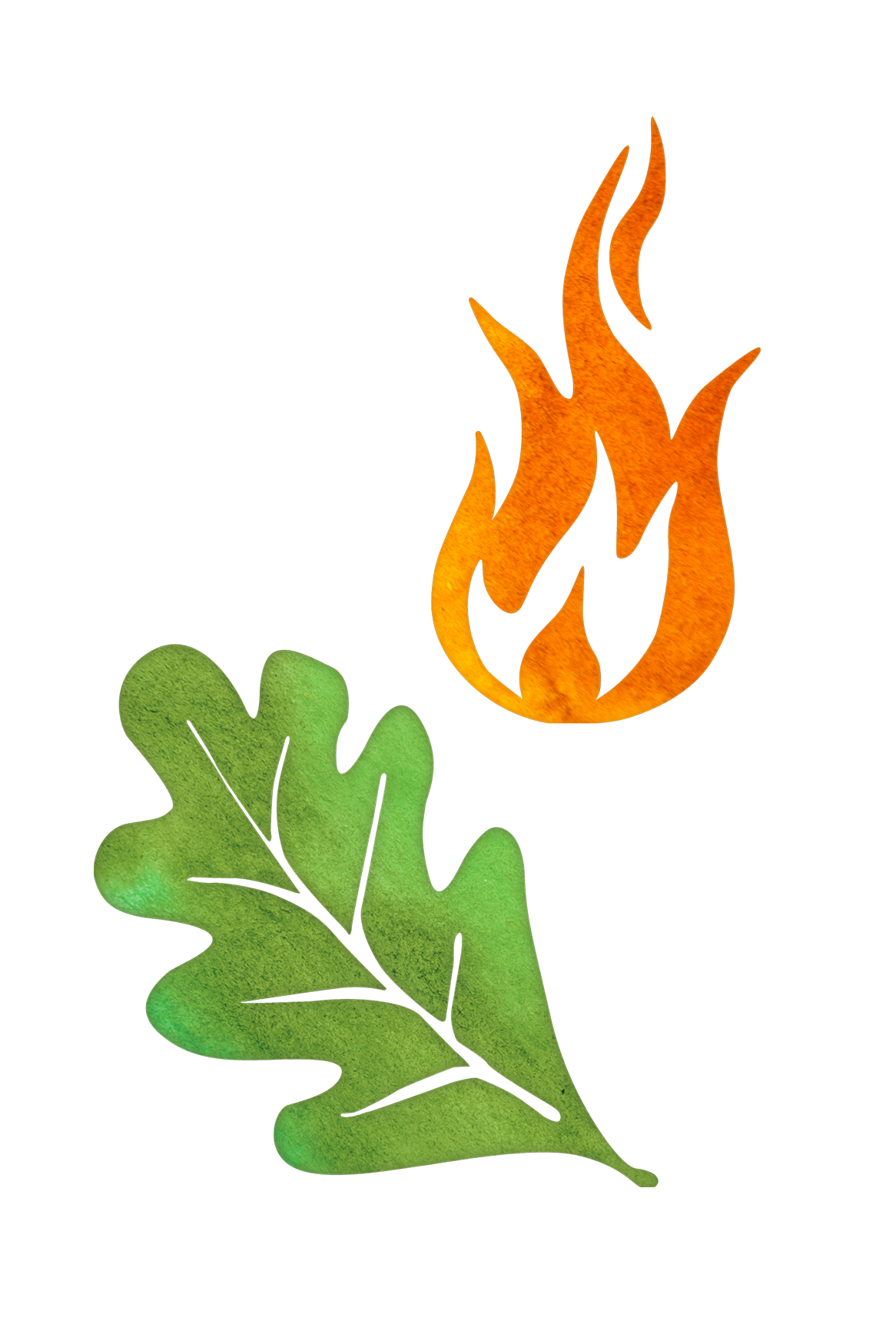 dominique_jolliet_naturpaedagogik_illustrationen.png