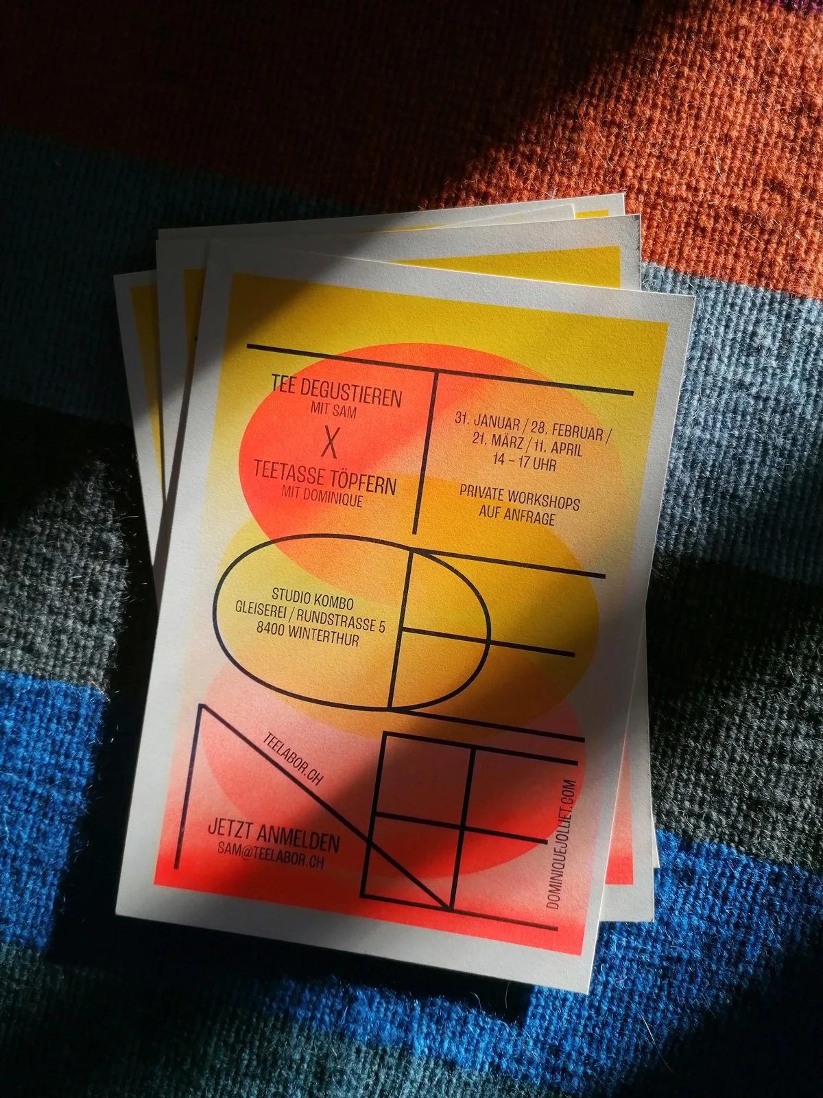 dominique_jolliet_tee_ton_flyer_2.jpg
