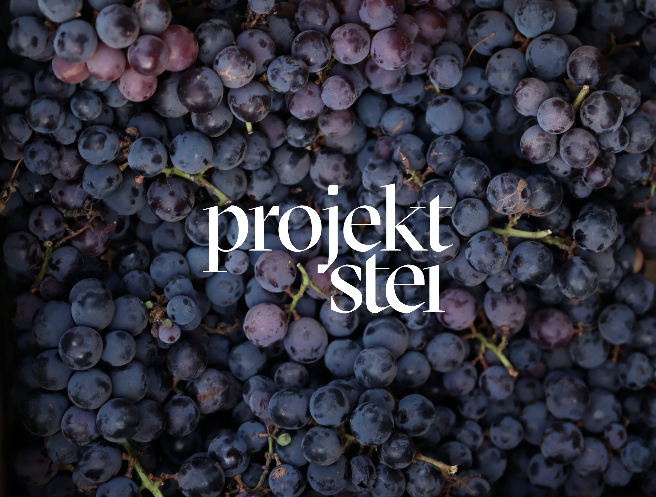 dominique_jolliet_projekt_stei_logo.jpg