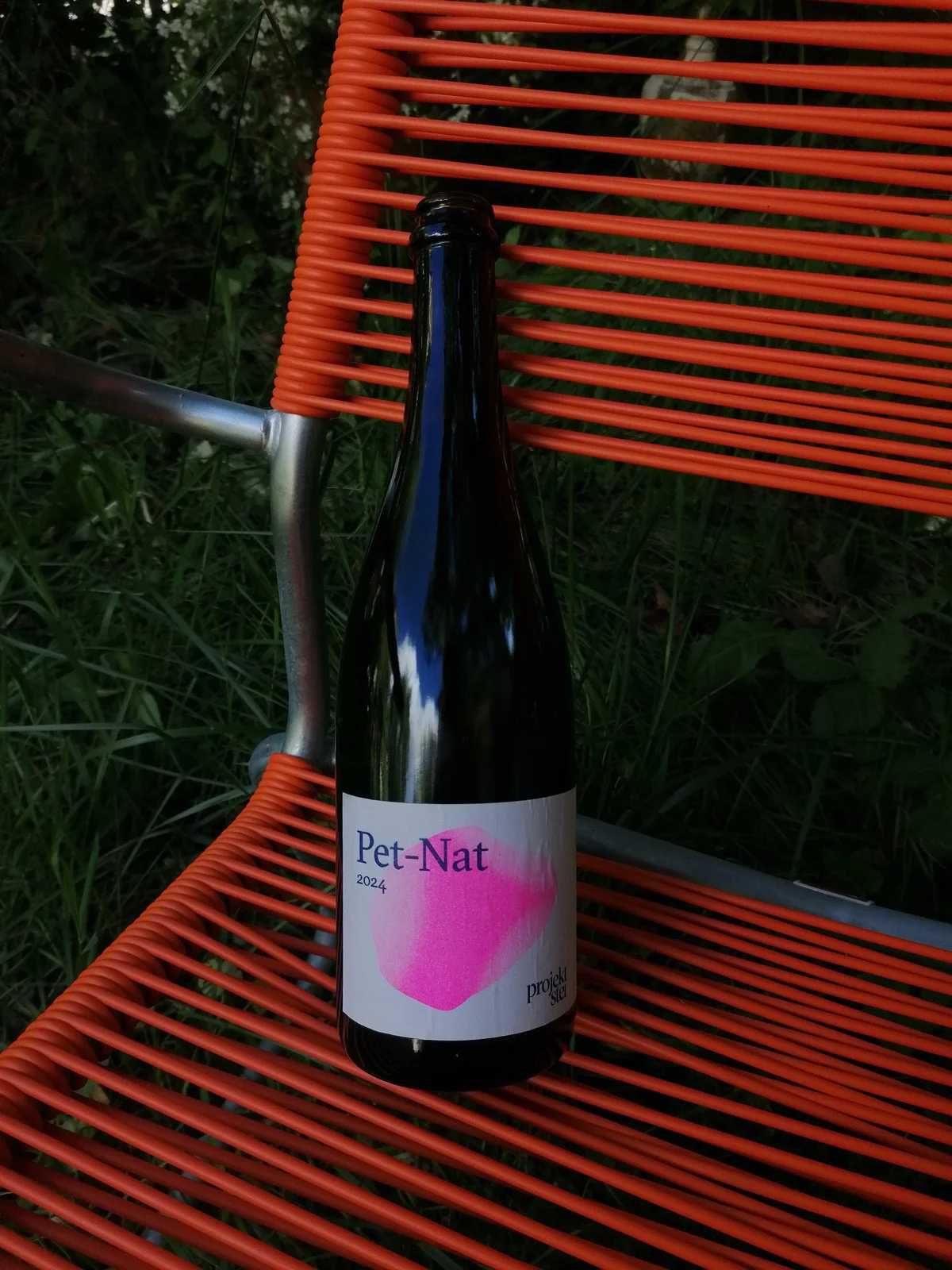 dominique_jolliet_projekt_stei_pet-nat Kopie.jpg