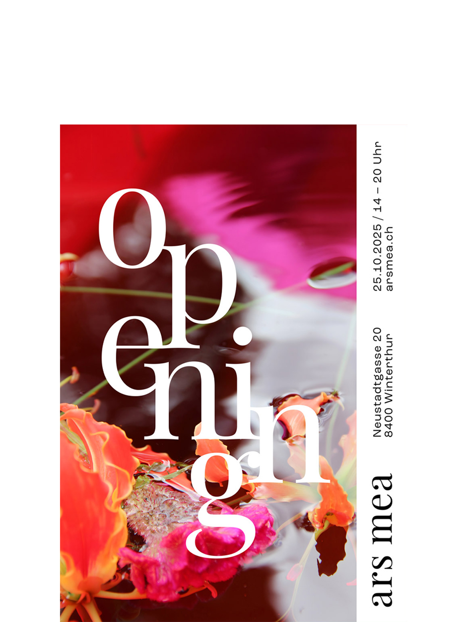 Opening Plakat