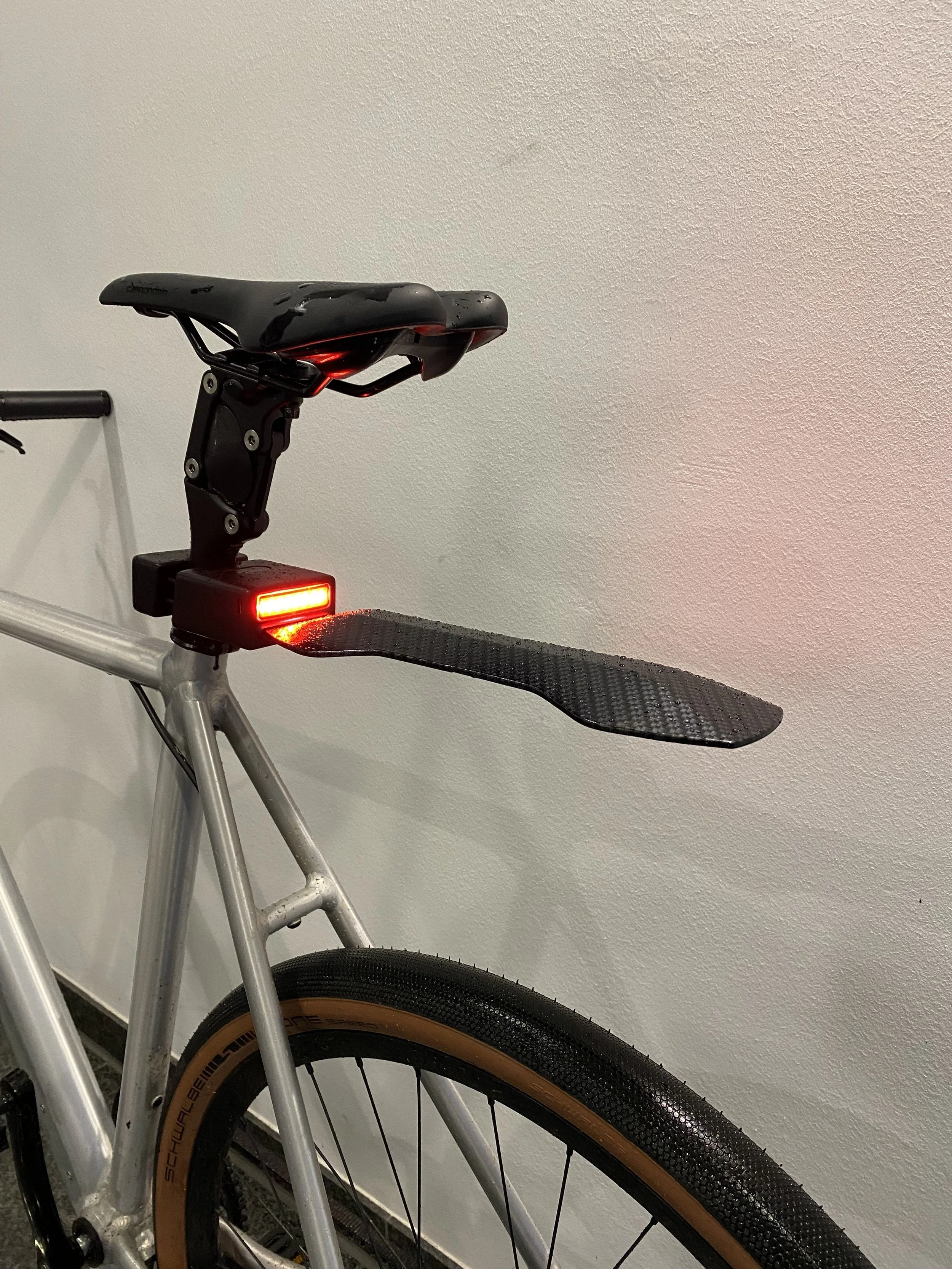 Bicycle with seat, taillight, fender, and rear wheel.