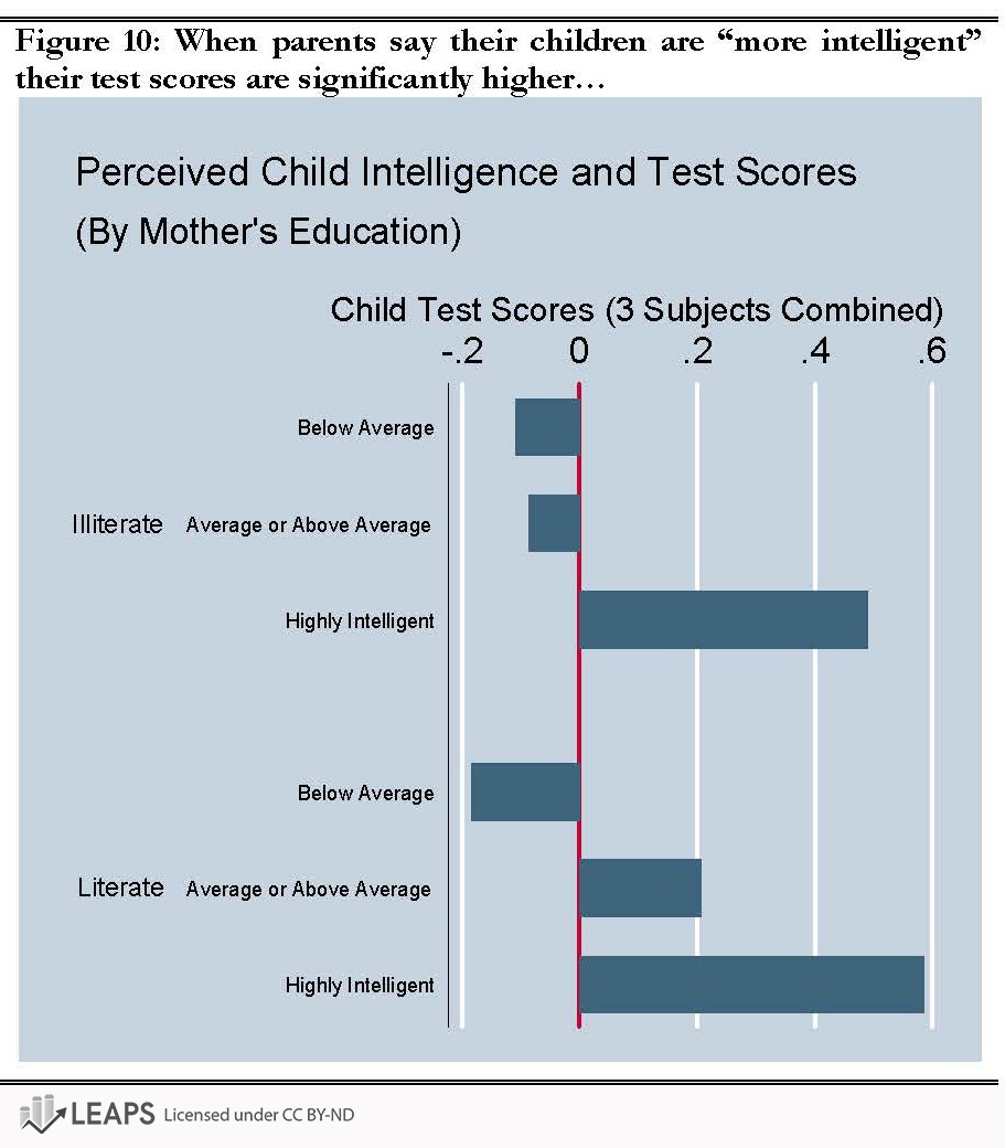 Perceived child intelligence and test scores