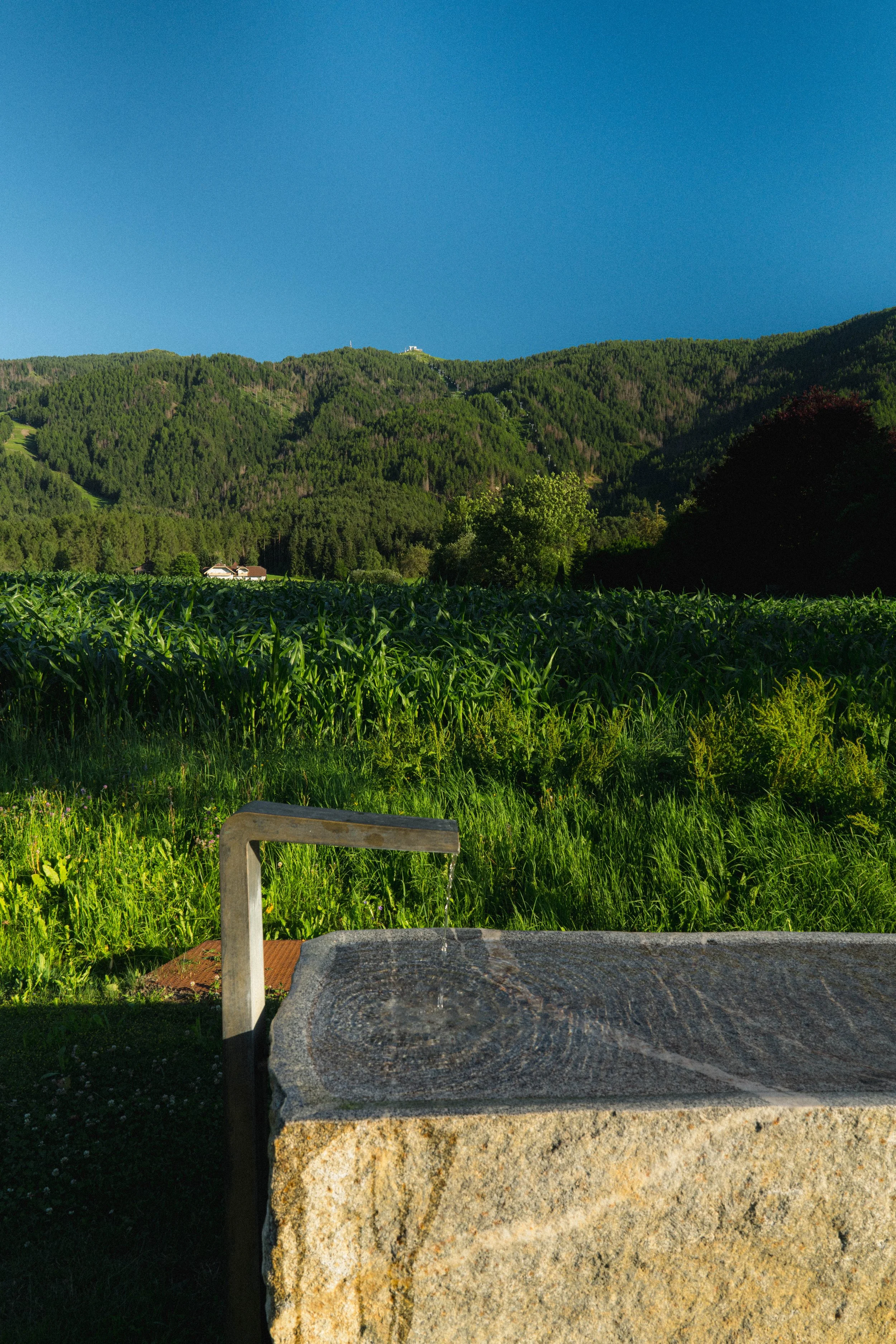 Armand Maertens - DSC05249 - 027.jpg