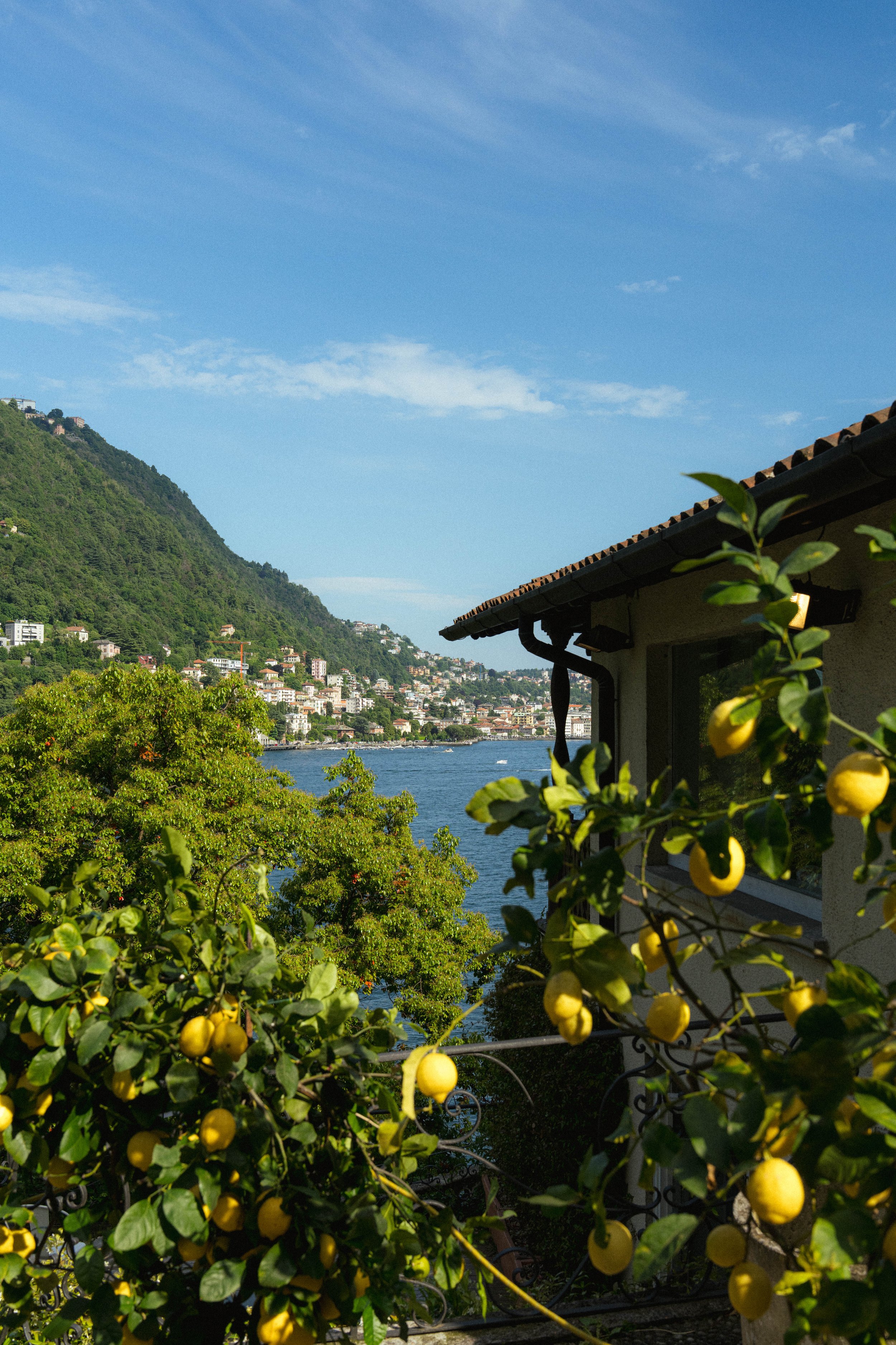 Armand Maertens - DSC09853 - 037.jpg