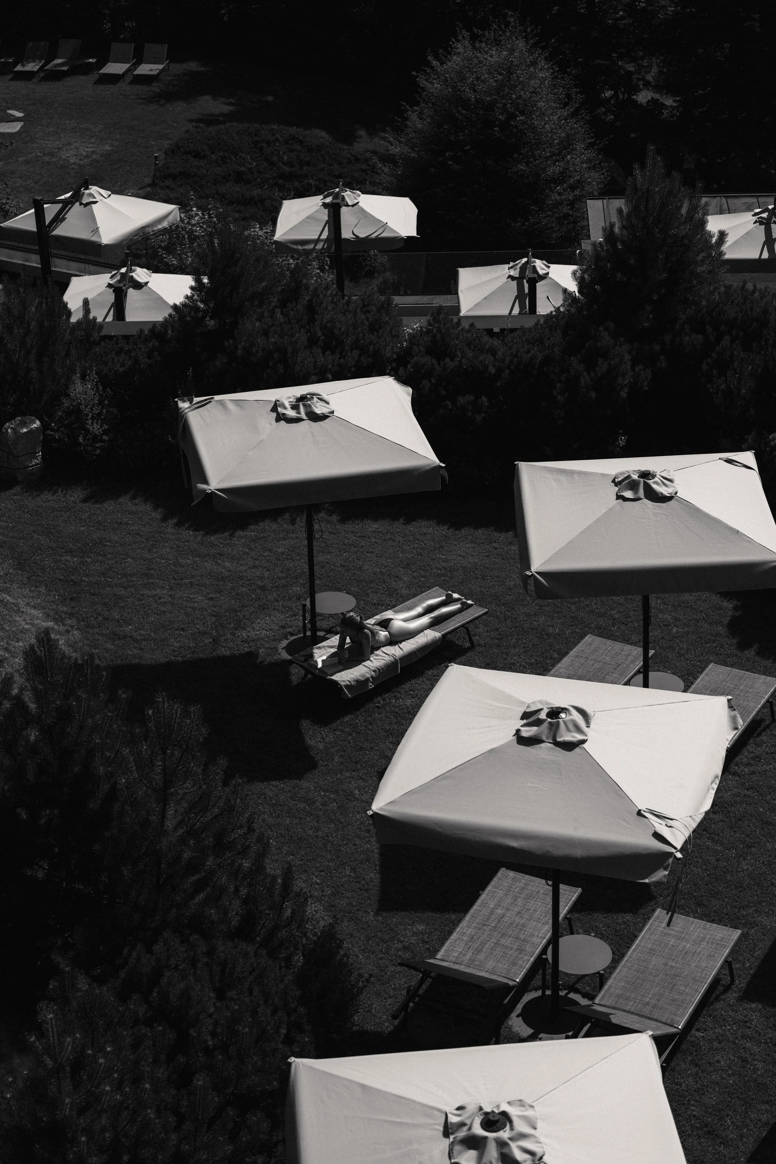 Armand Maertens - DSC06630 - 101.jpg