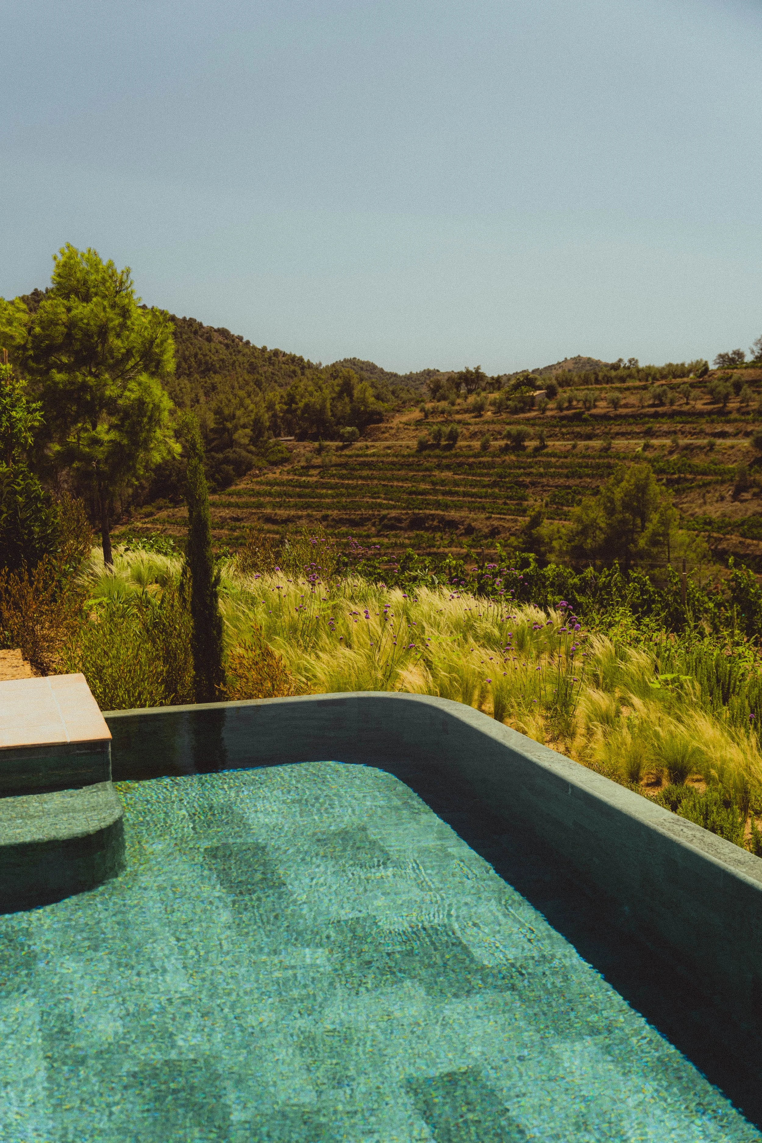 Client Gallery DSC03255.jpg