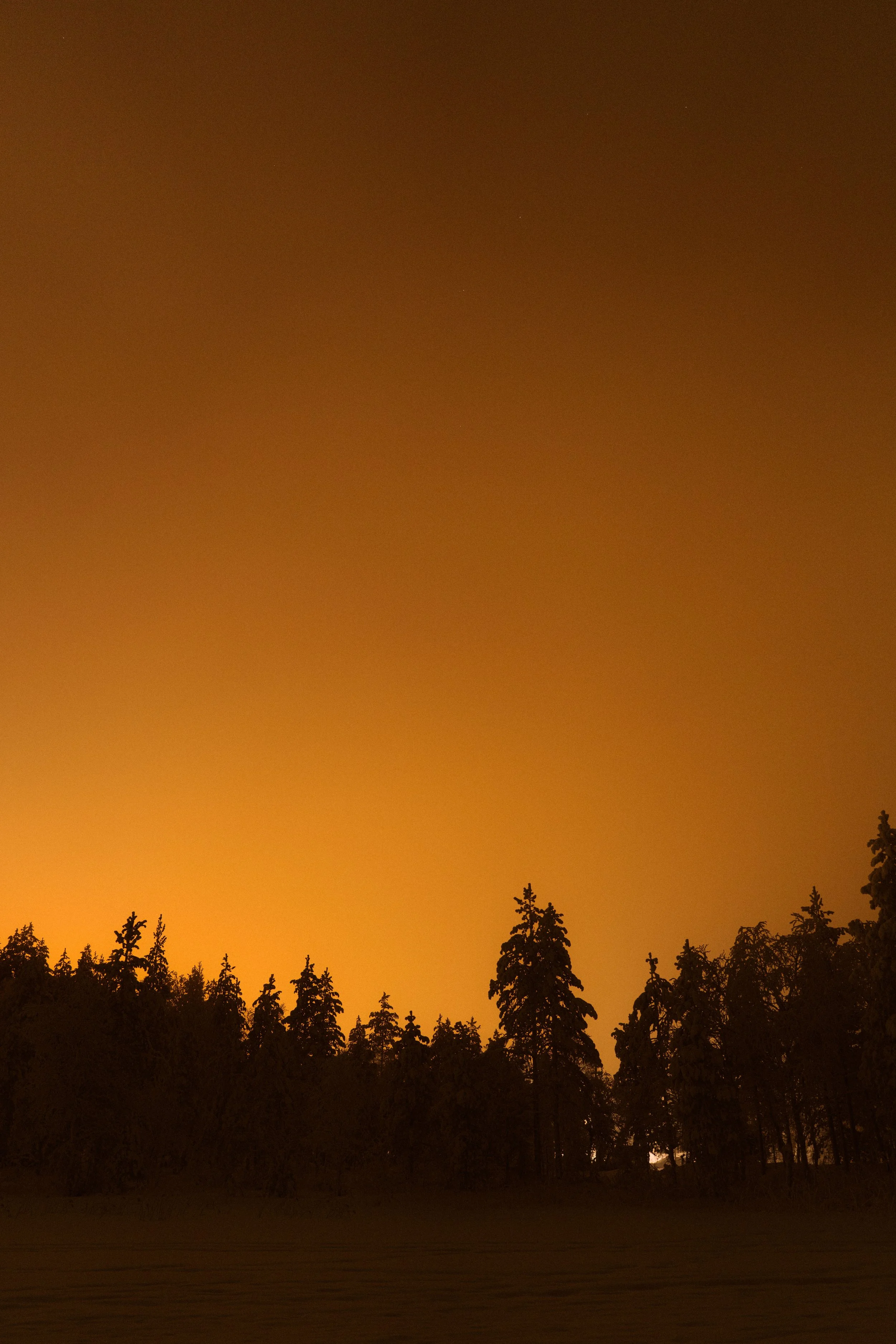 Armand Maertens - DSC00194 - 001.jpg