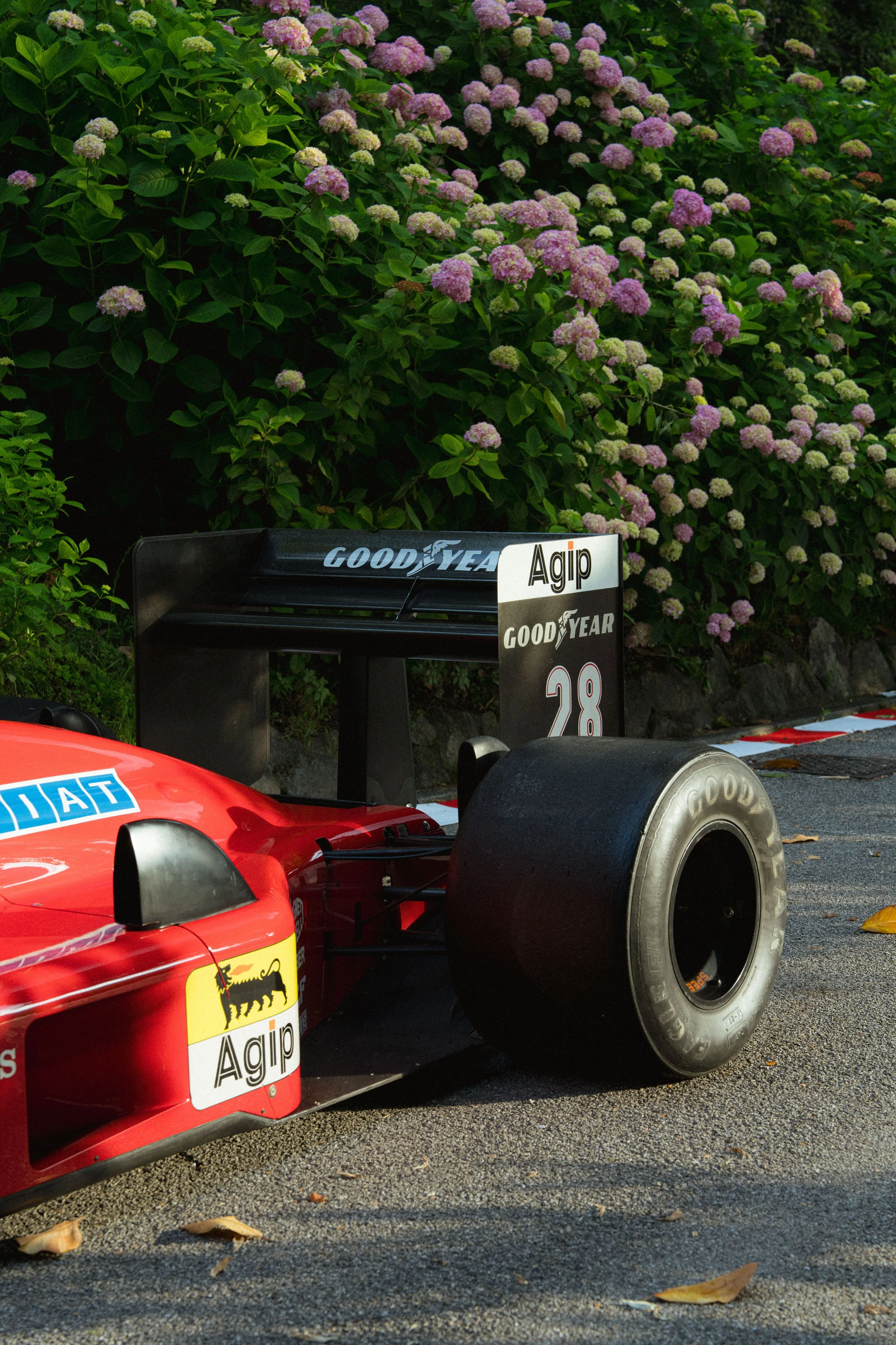 Armand Maertens - DSC08722 - 004.jpg