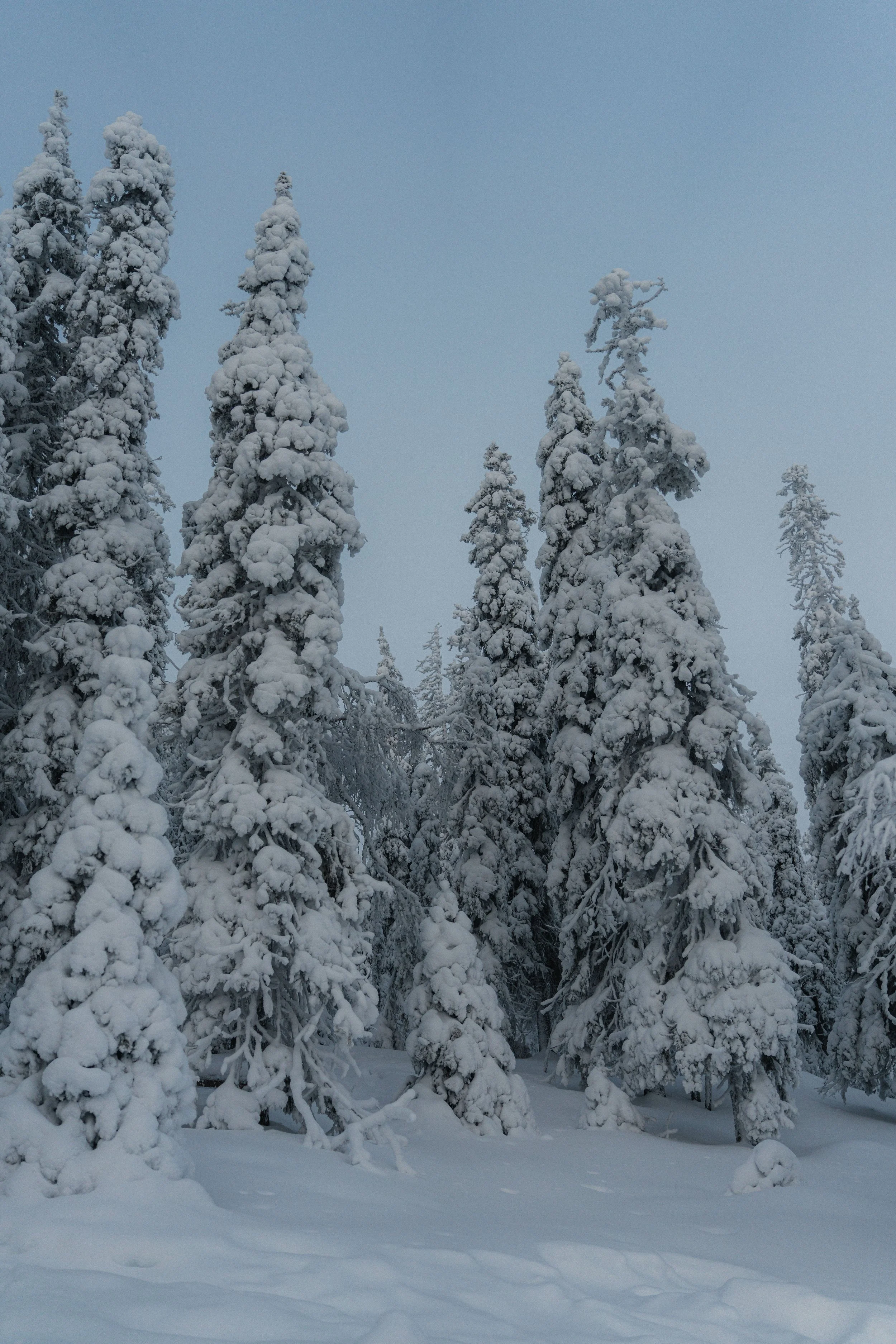 Armand Maertens - DSC09709 - 007.jpg