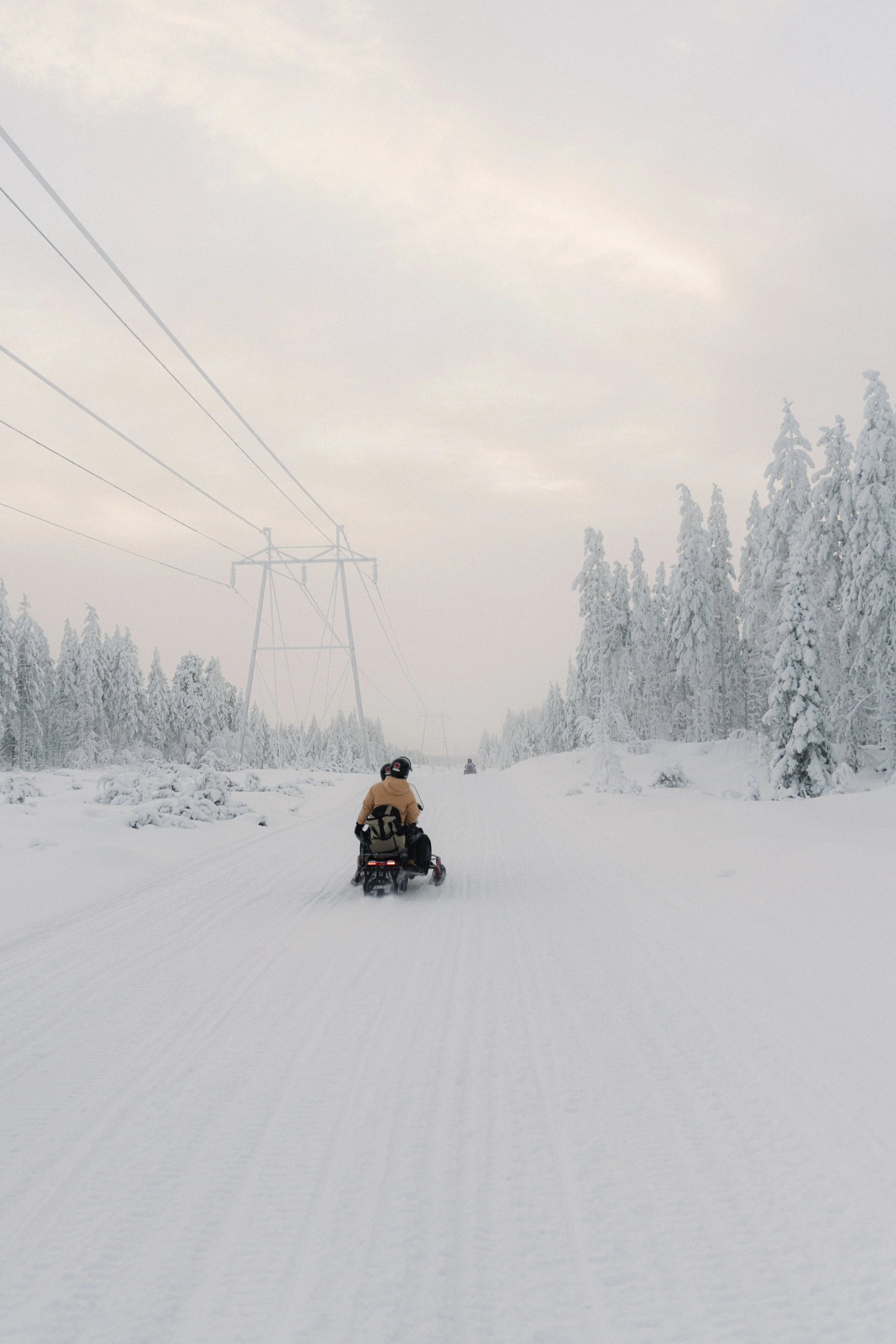 Armand Maertens - DSC00589 - 029.jpg