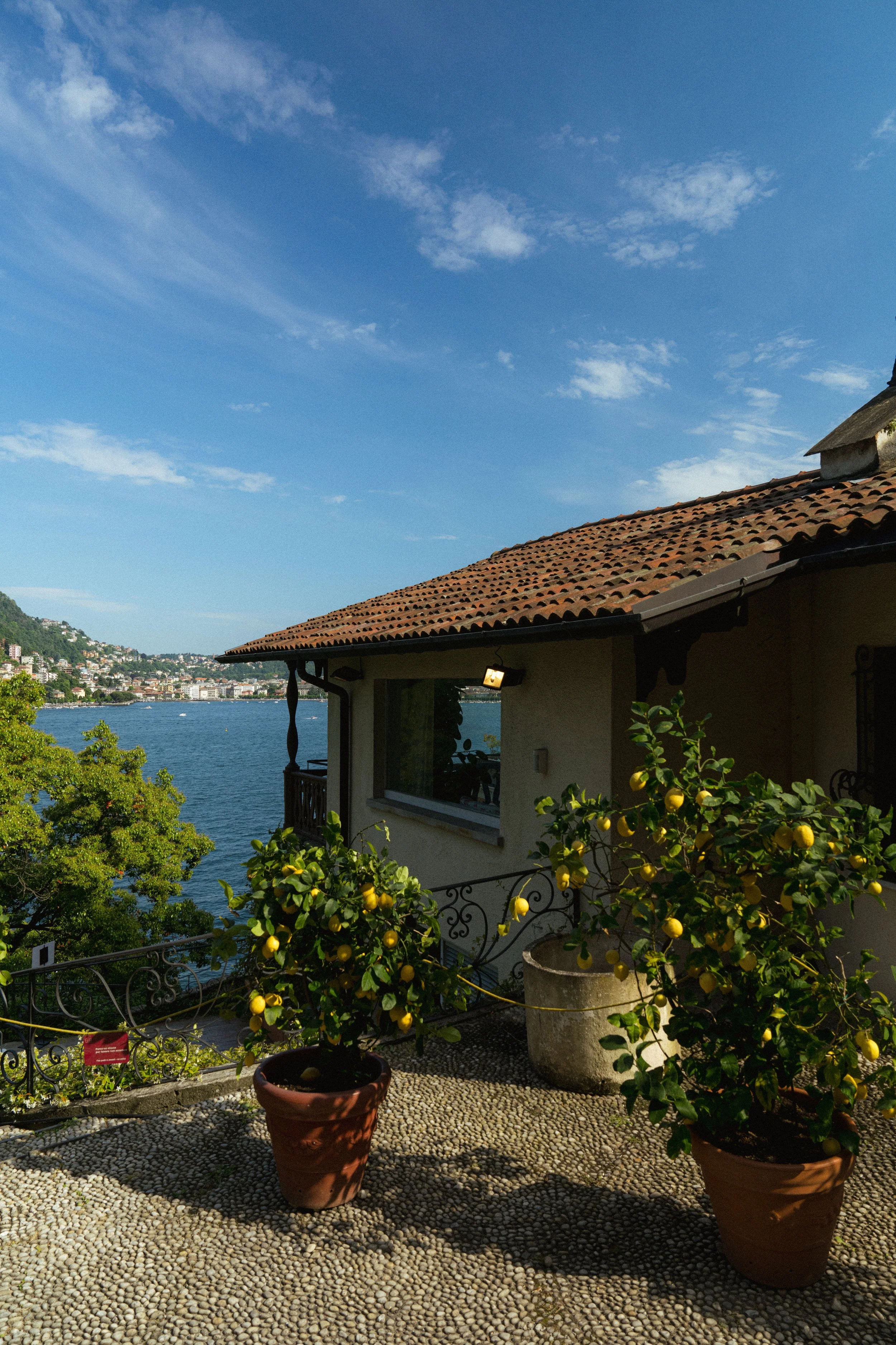 Armand Maertens - DSC09855 - 038.jpg