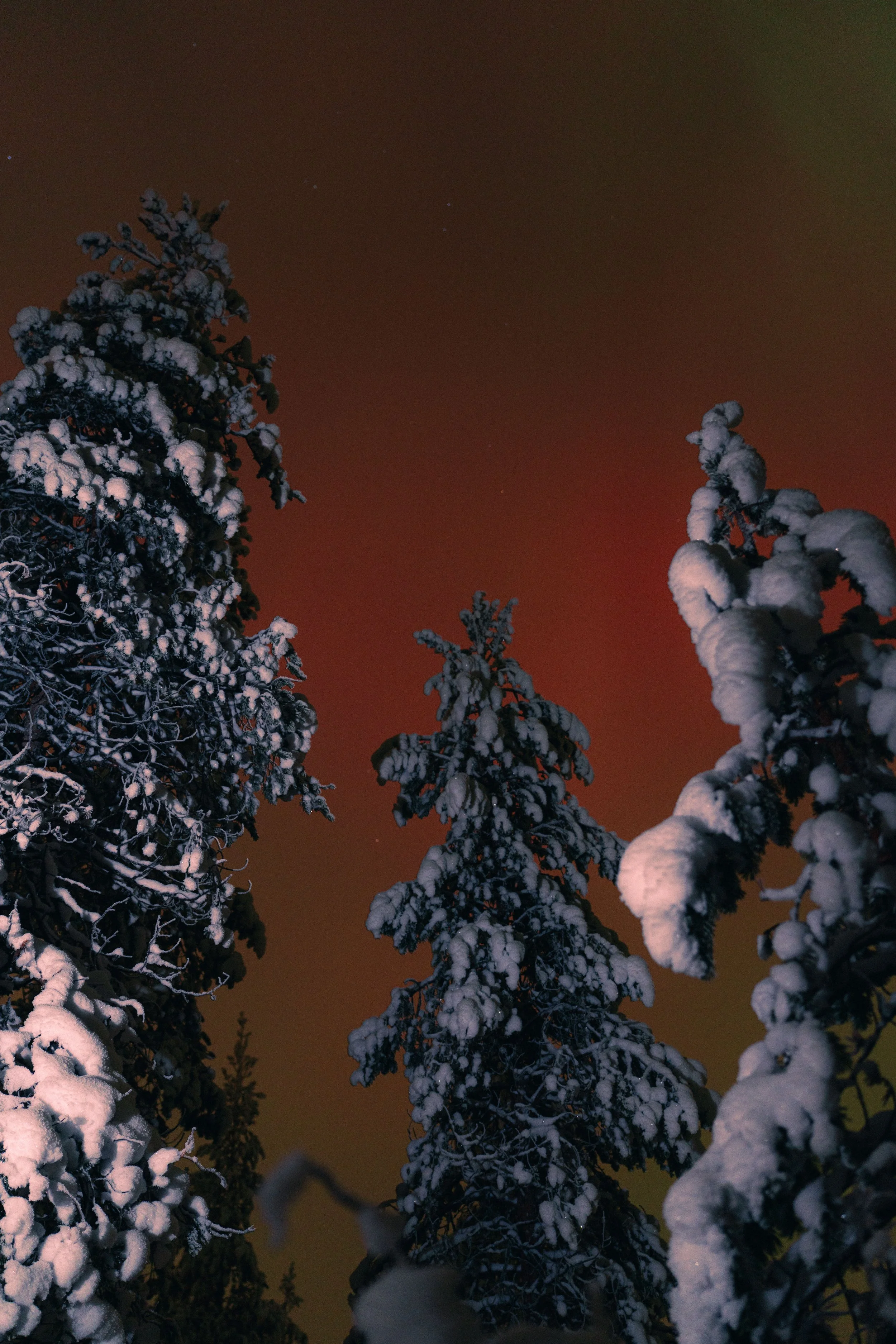 Armand Maertens - DSC00252 - 015.jpg