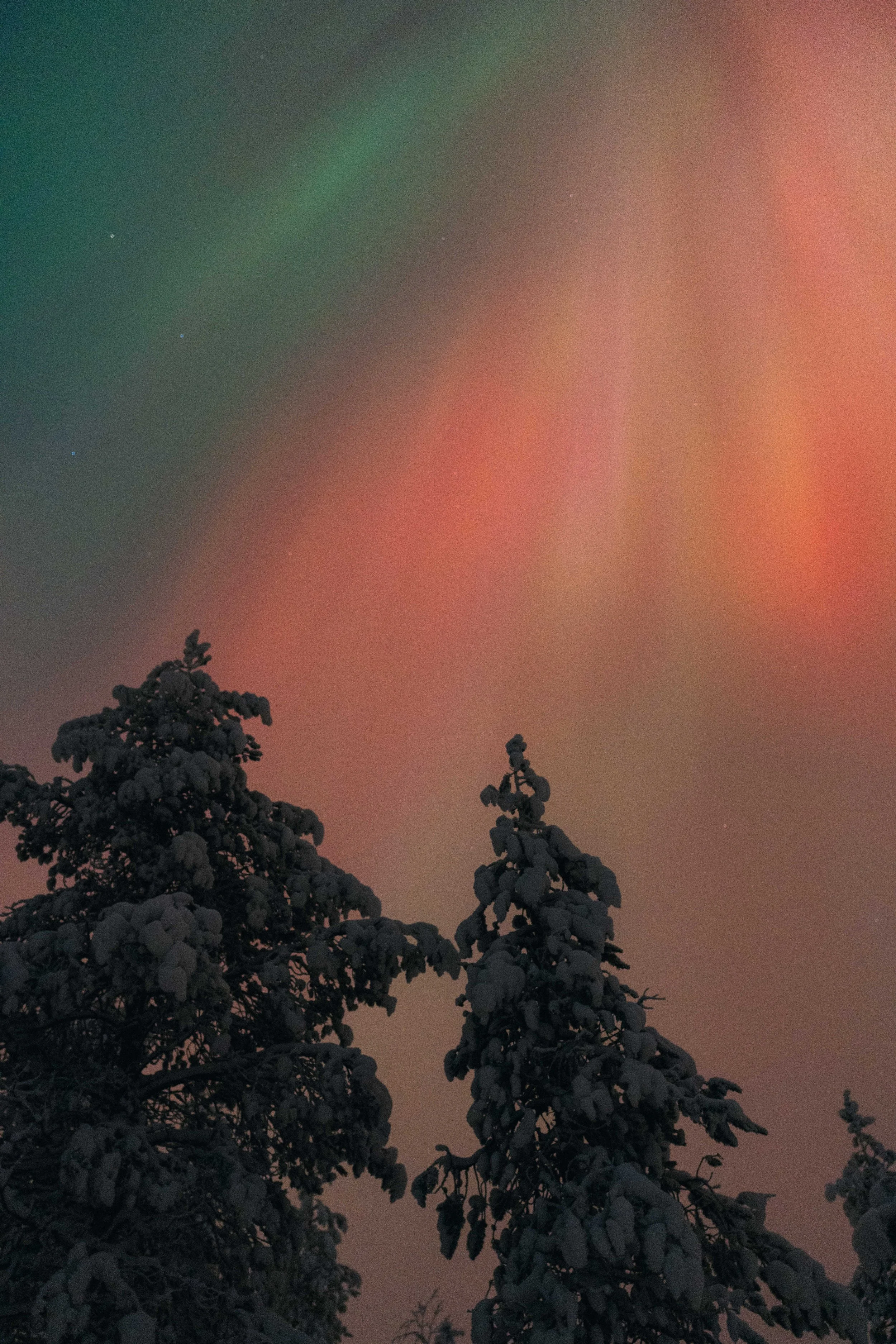 Armand Maertens - DSC00234 - 007.jpg