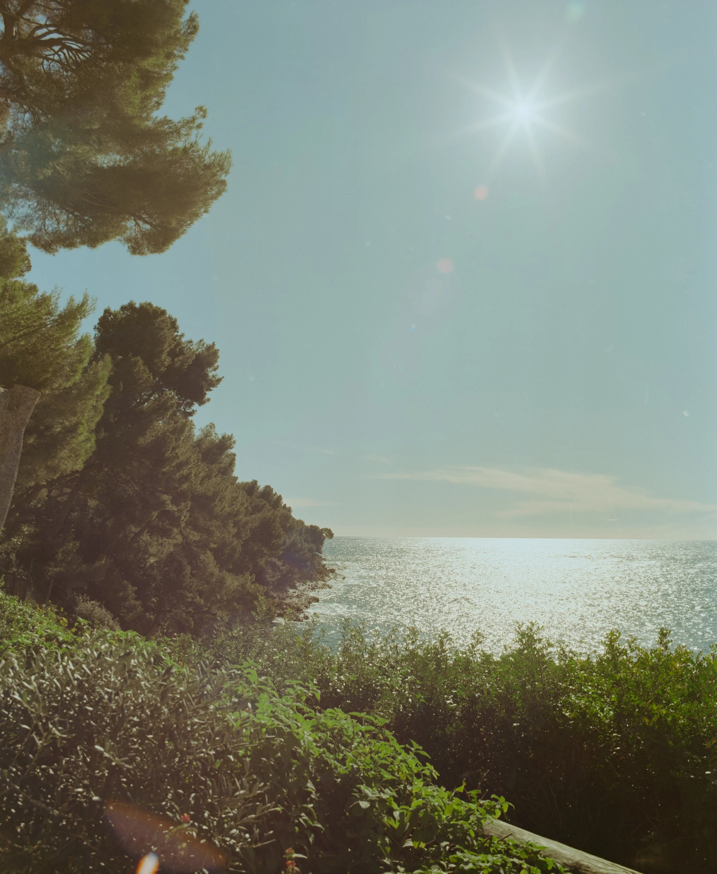 Armand Maertens - DSC05480 - 035.jpg