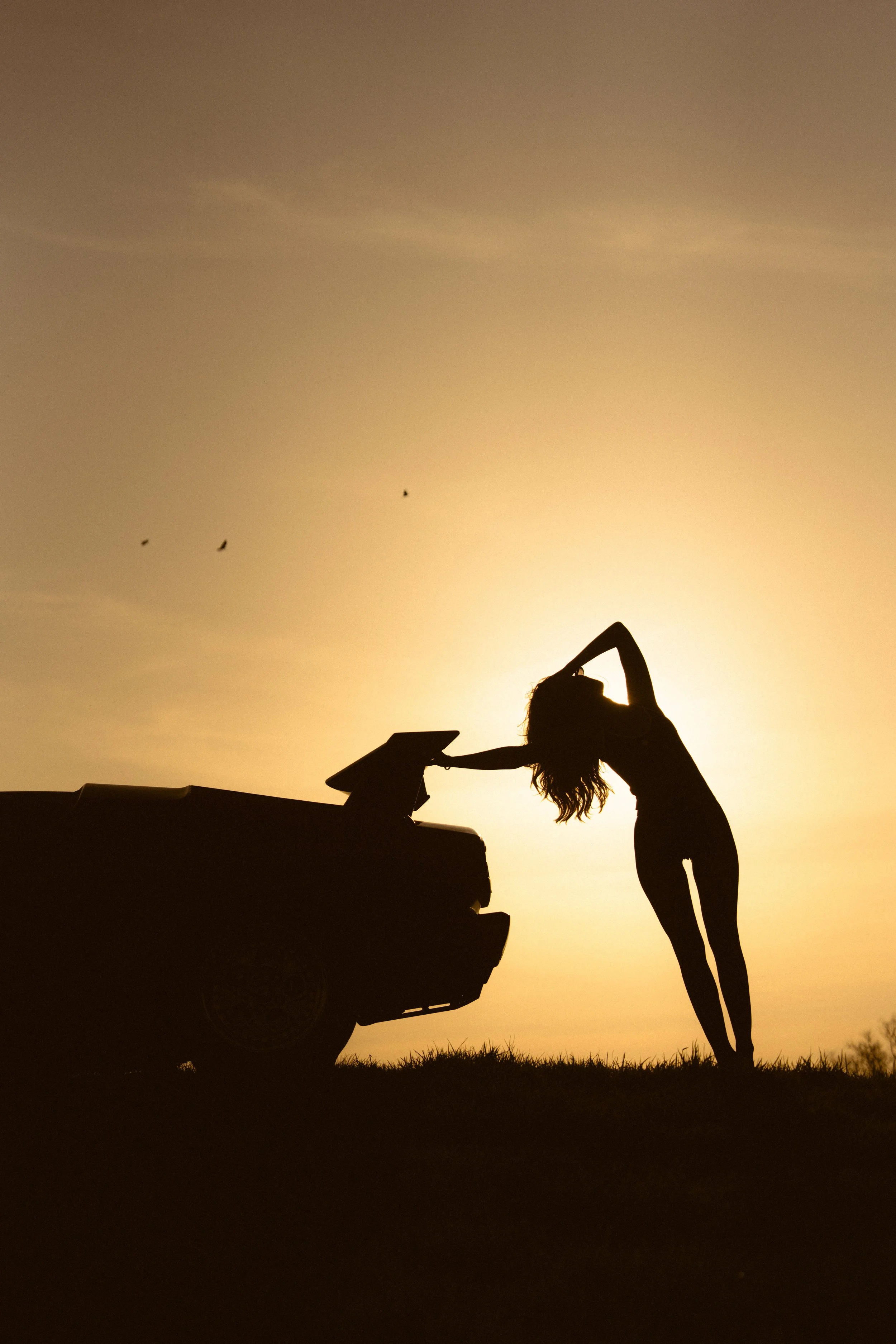 Armand Maertens - DSC08158 - 062.JPG