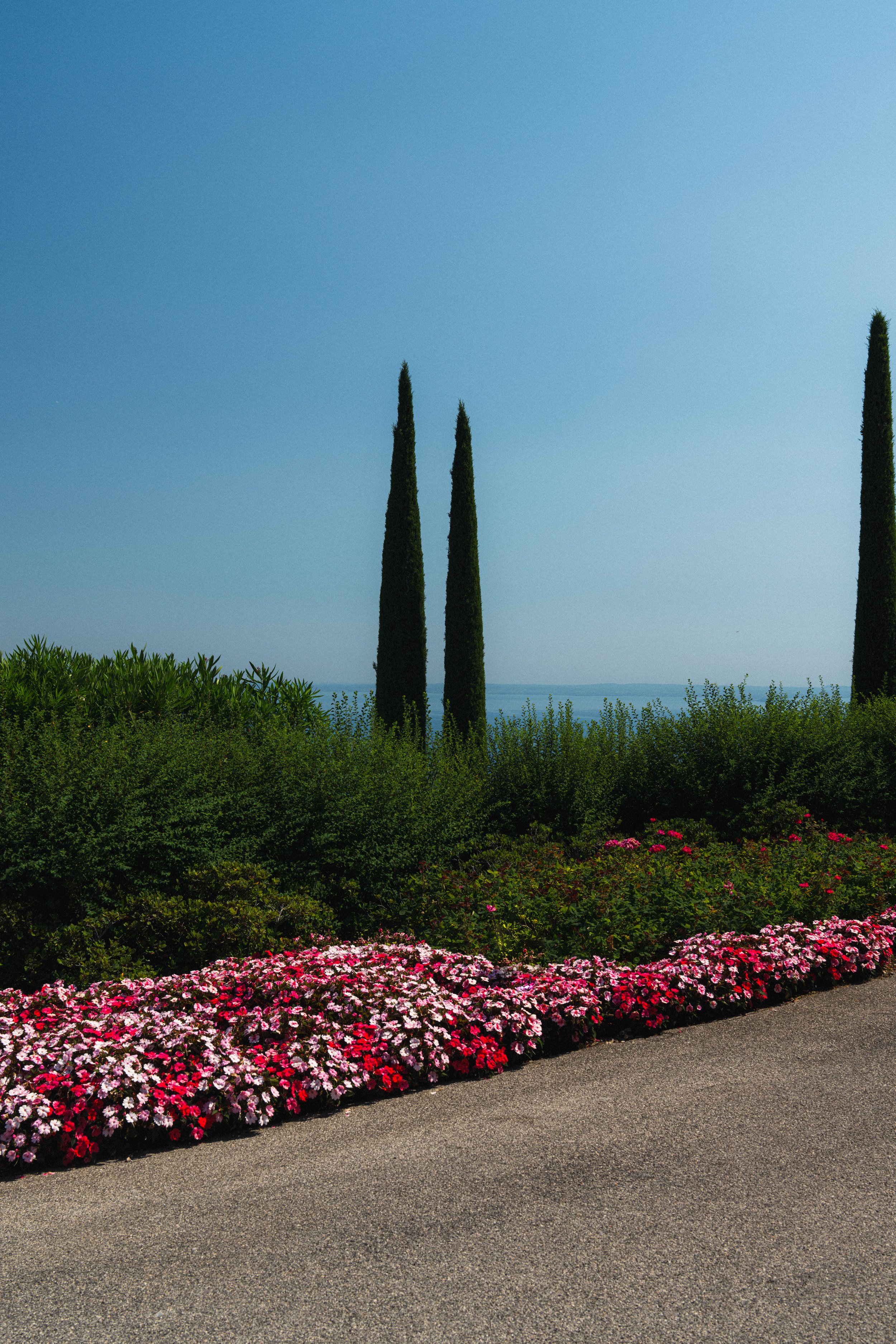 Armand Maertens - DSC07715 - 132.jpg