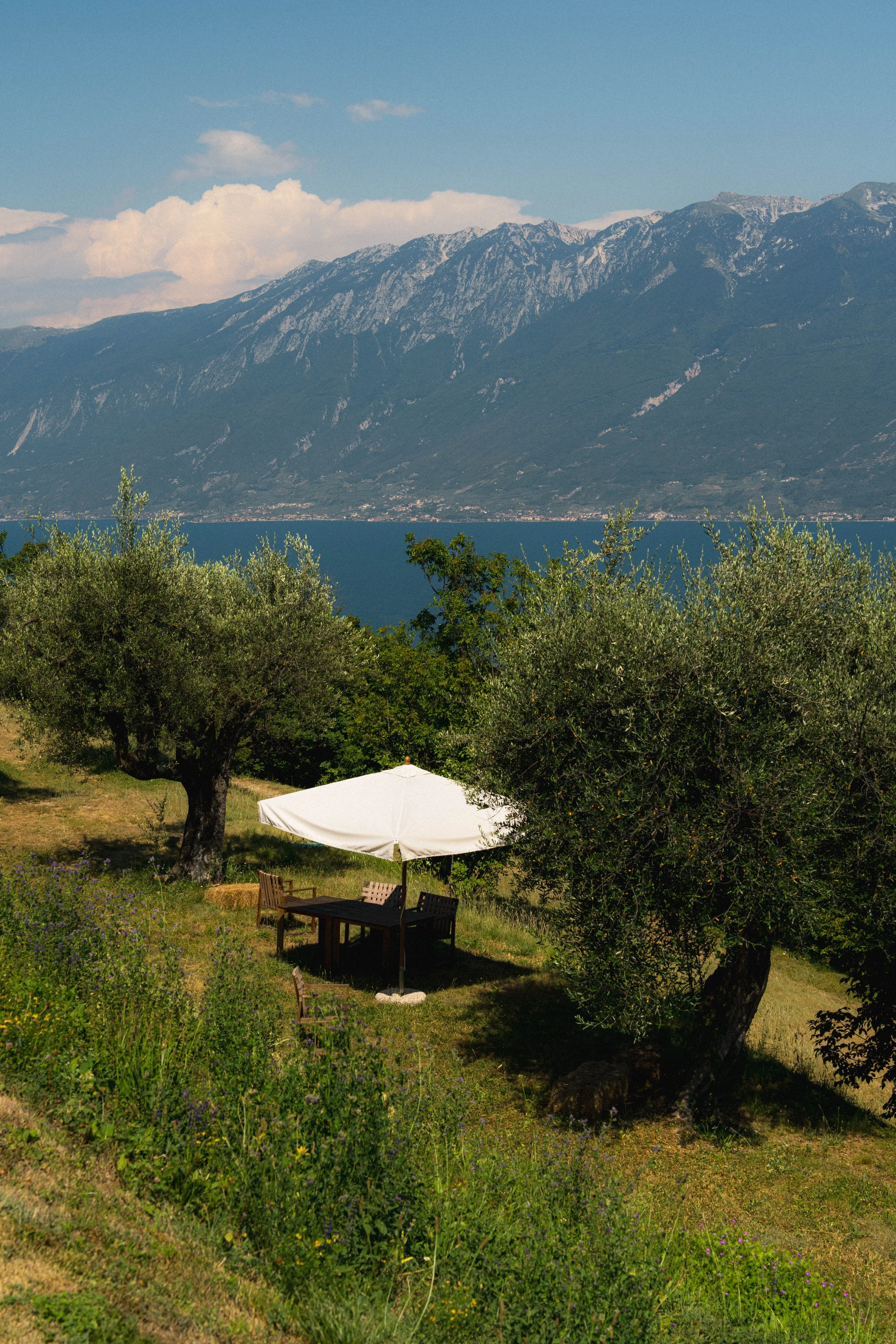 Armand Maertens - DSC07731 - 138.jpg