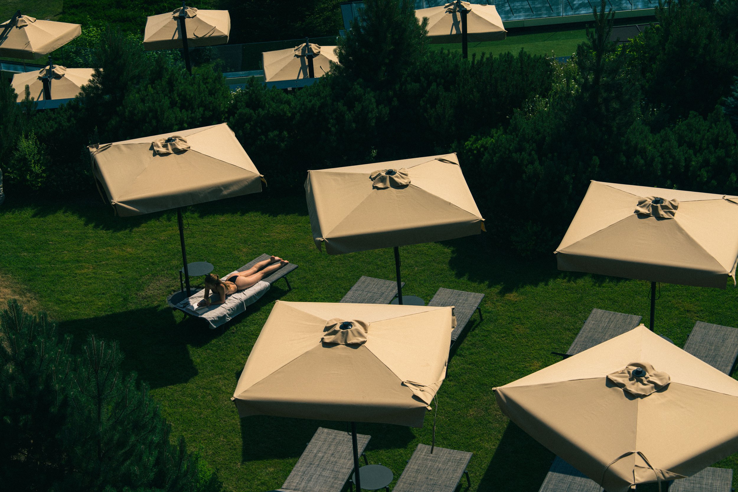 Armand Maertens - DSC06631 - 102.jpg