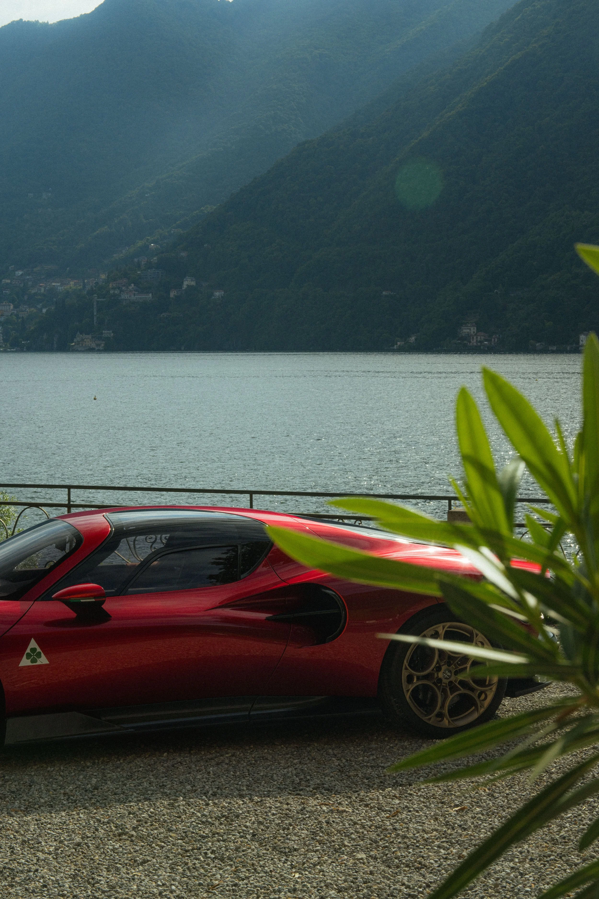 Armand Maertens - DSC08800 - 031.jpg