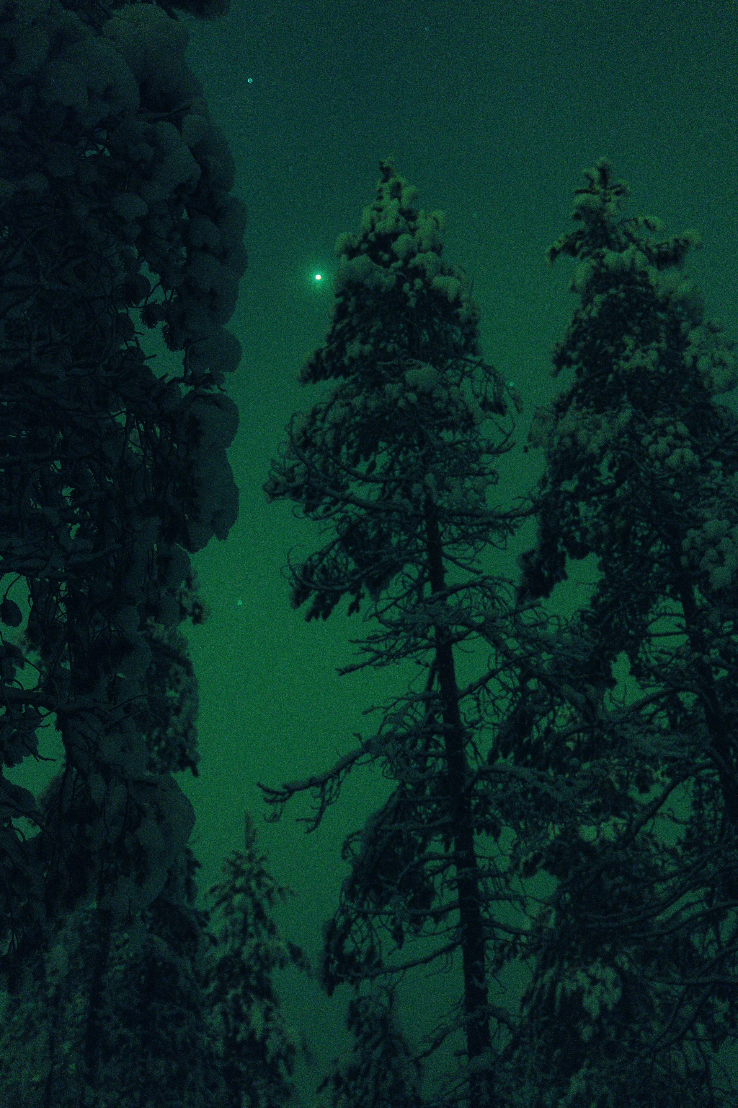 Armand Maertens - DSC00220 - 003.jpg