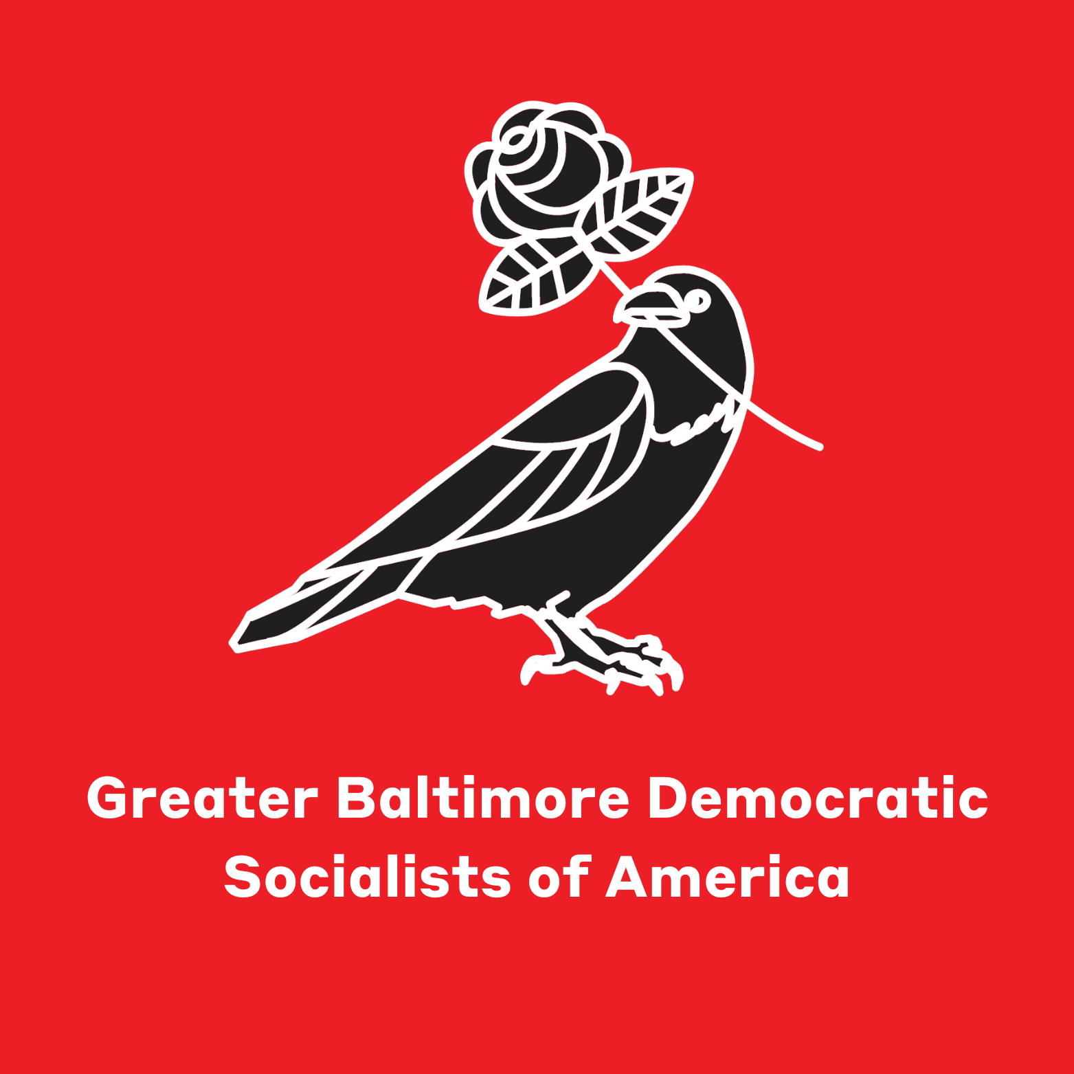 Greater Baltimore DSA