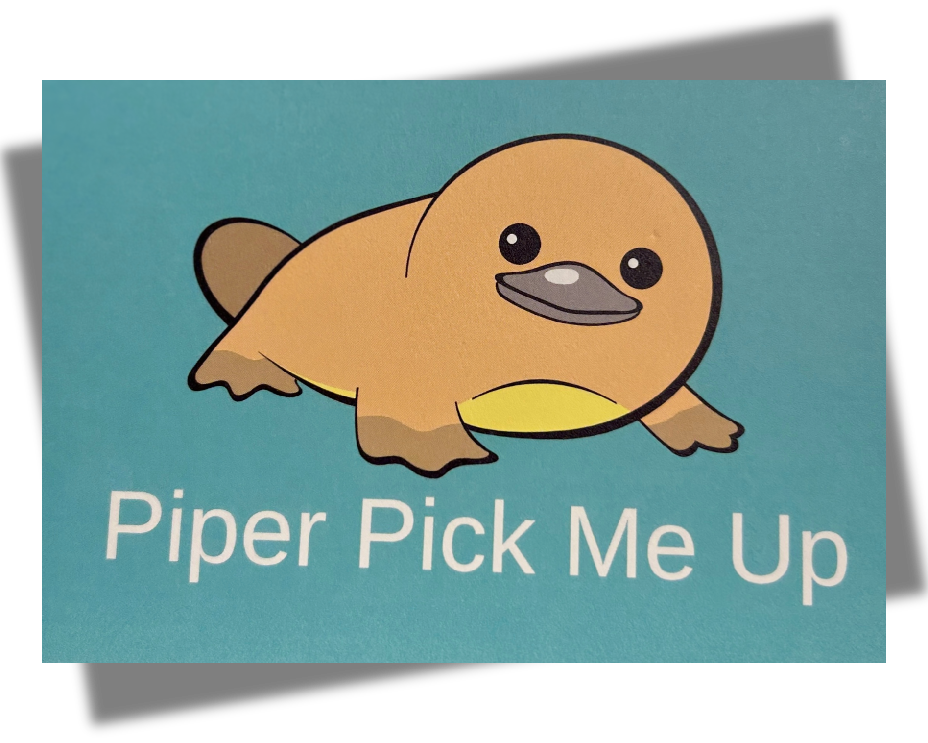 Piper Postcard Pack of 6