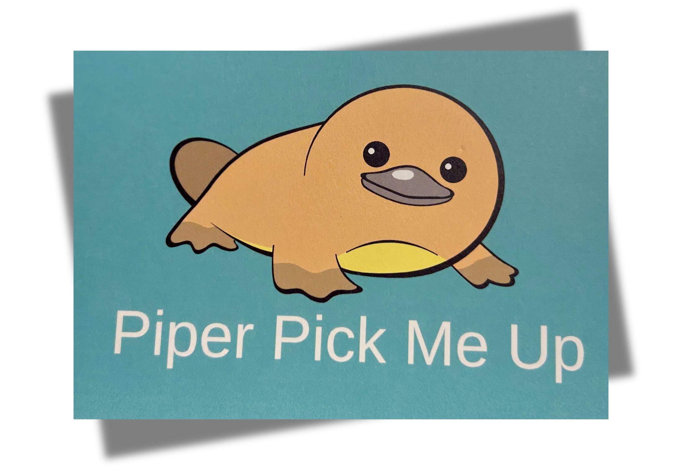 61e33d0e-585c-4a00-b630-9b9969de1aa3.png
