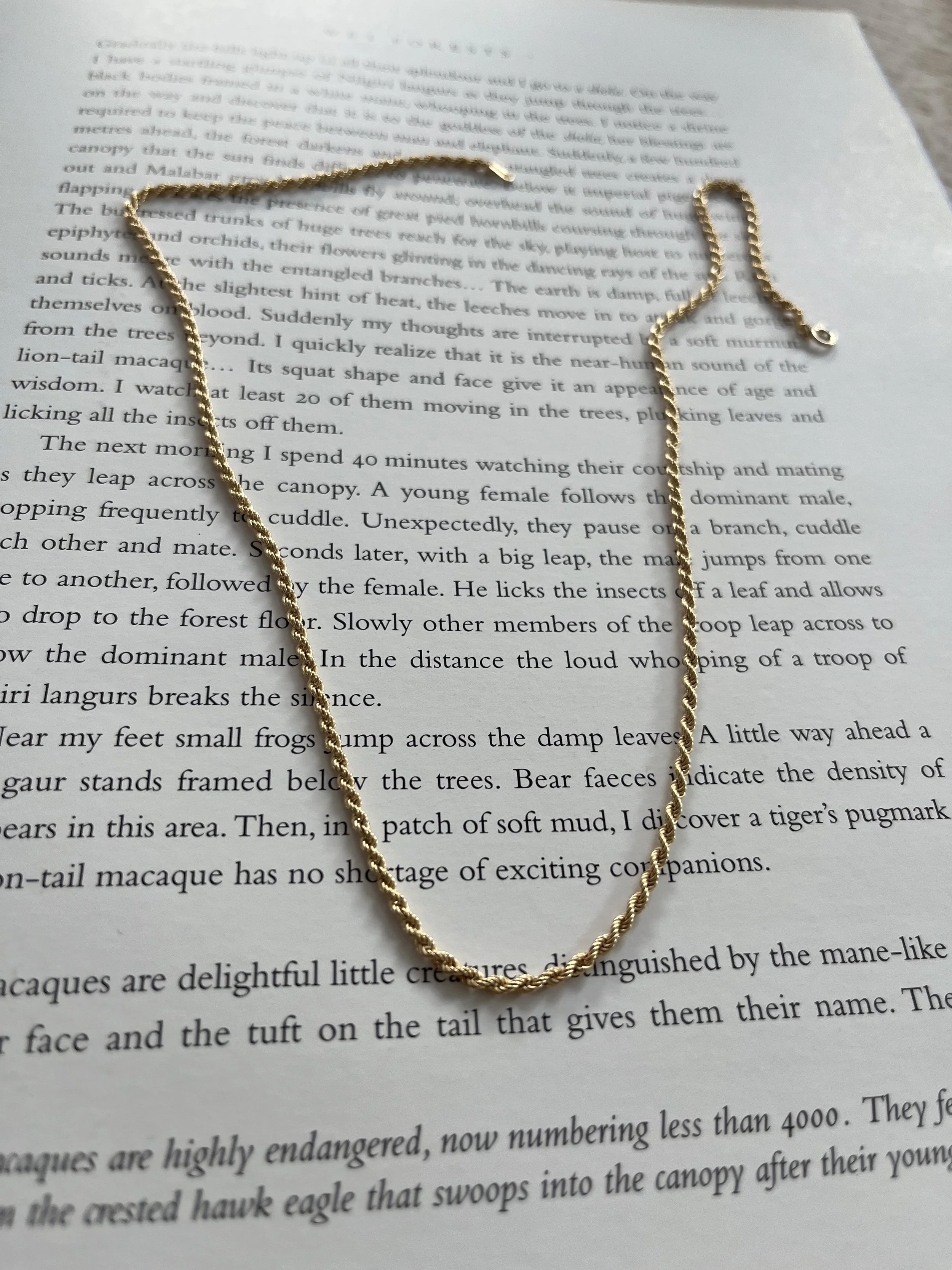 Solid Gold Rope Chain Necklace