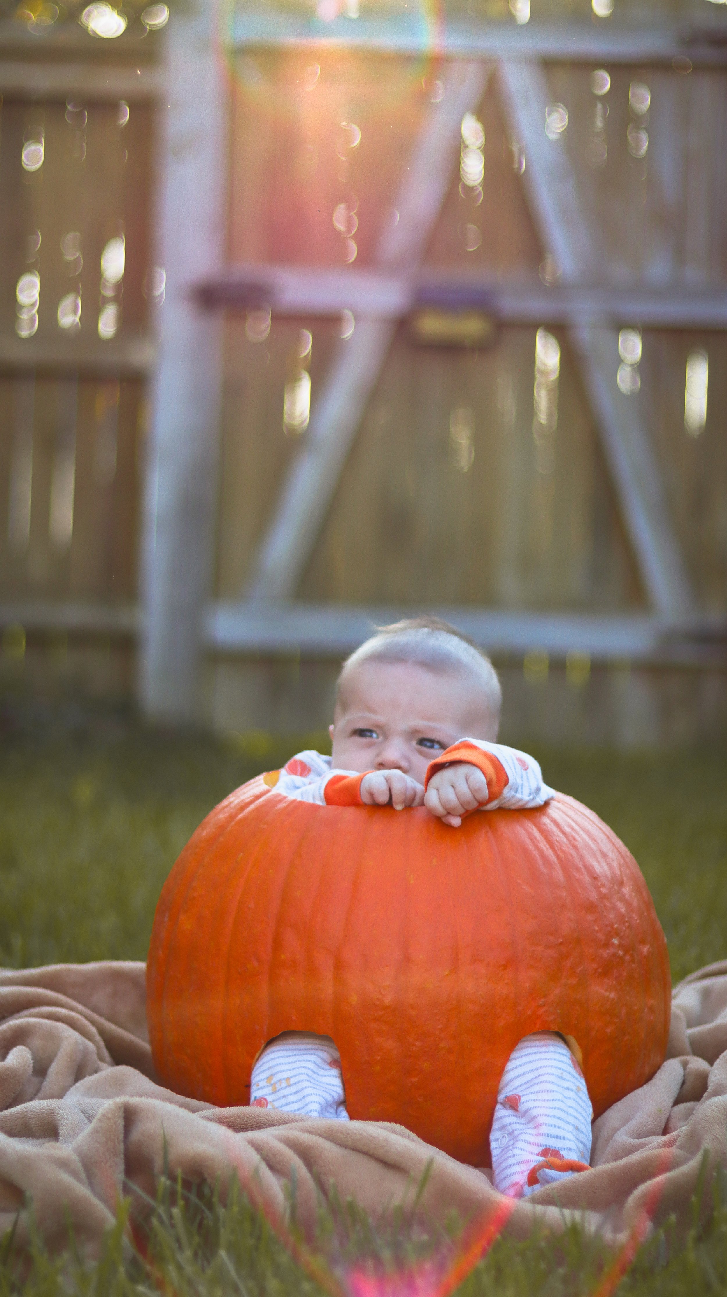 IMG_9946.jpg