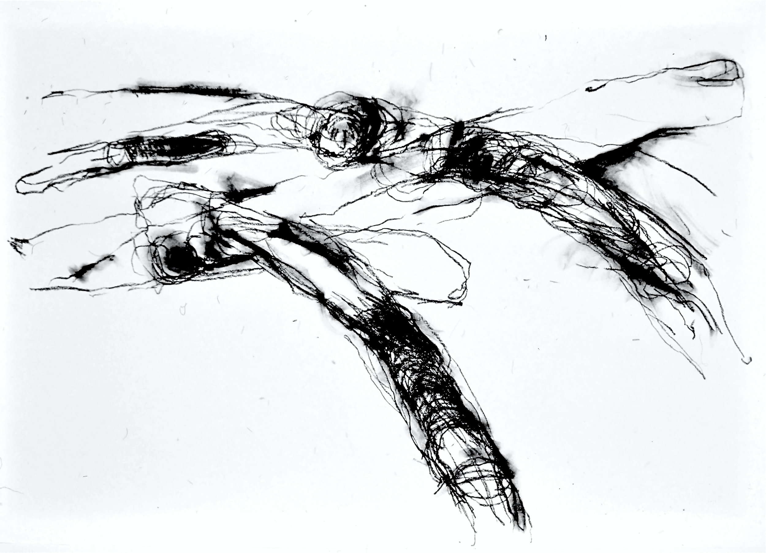 Sticks and Bones by Yvonne Maiden