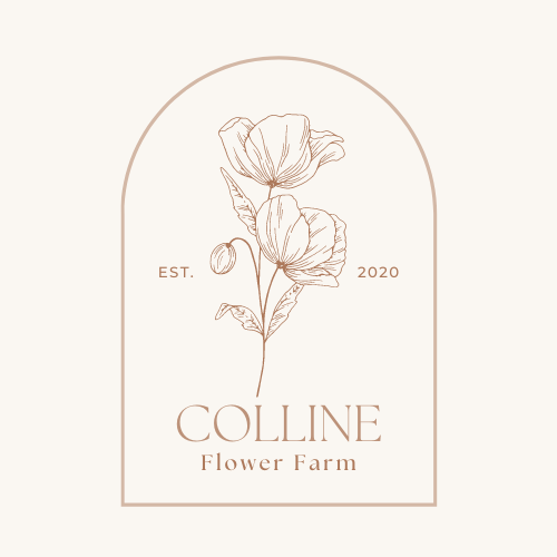 Colline Flower Farm